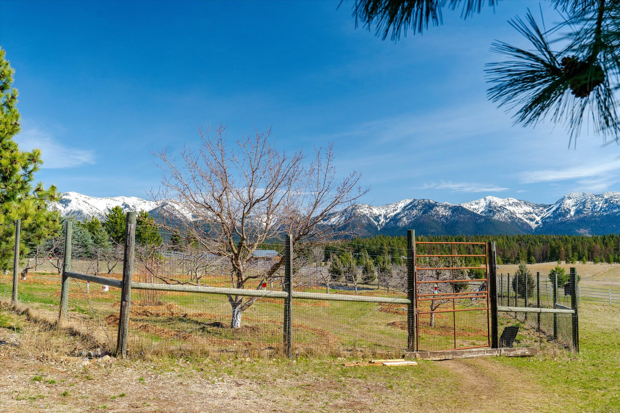 182 Moondance Trail