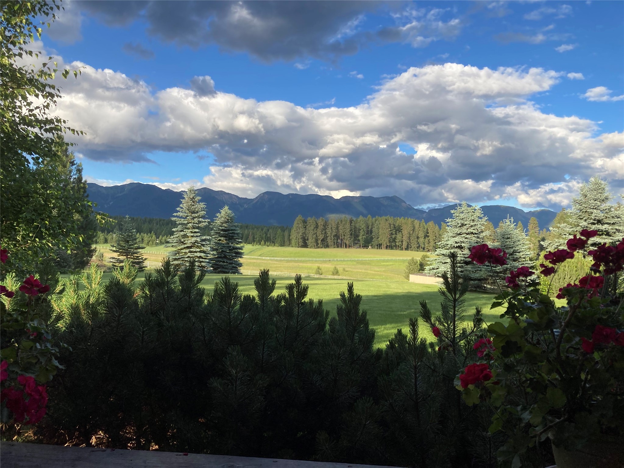 182 Moondance Trail