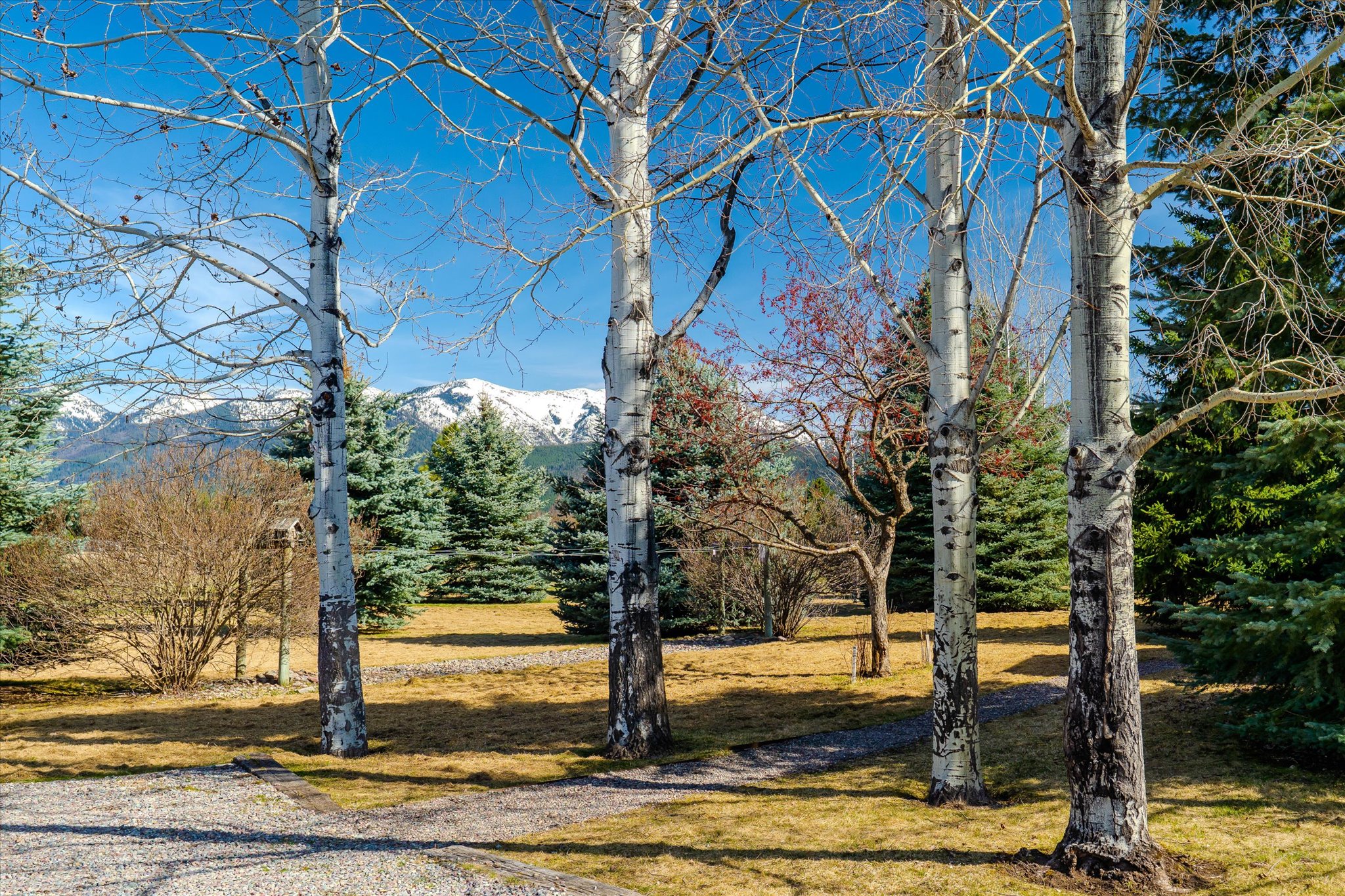 182 Moondance Trail