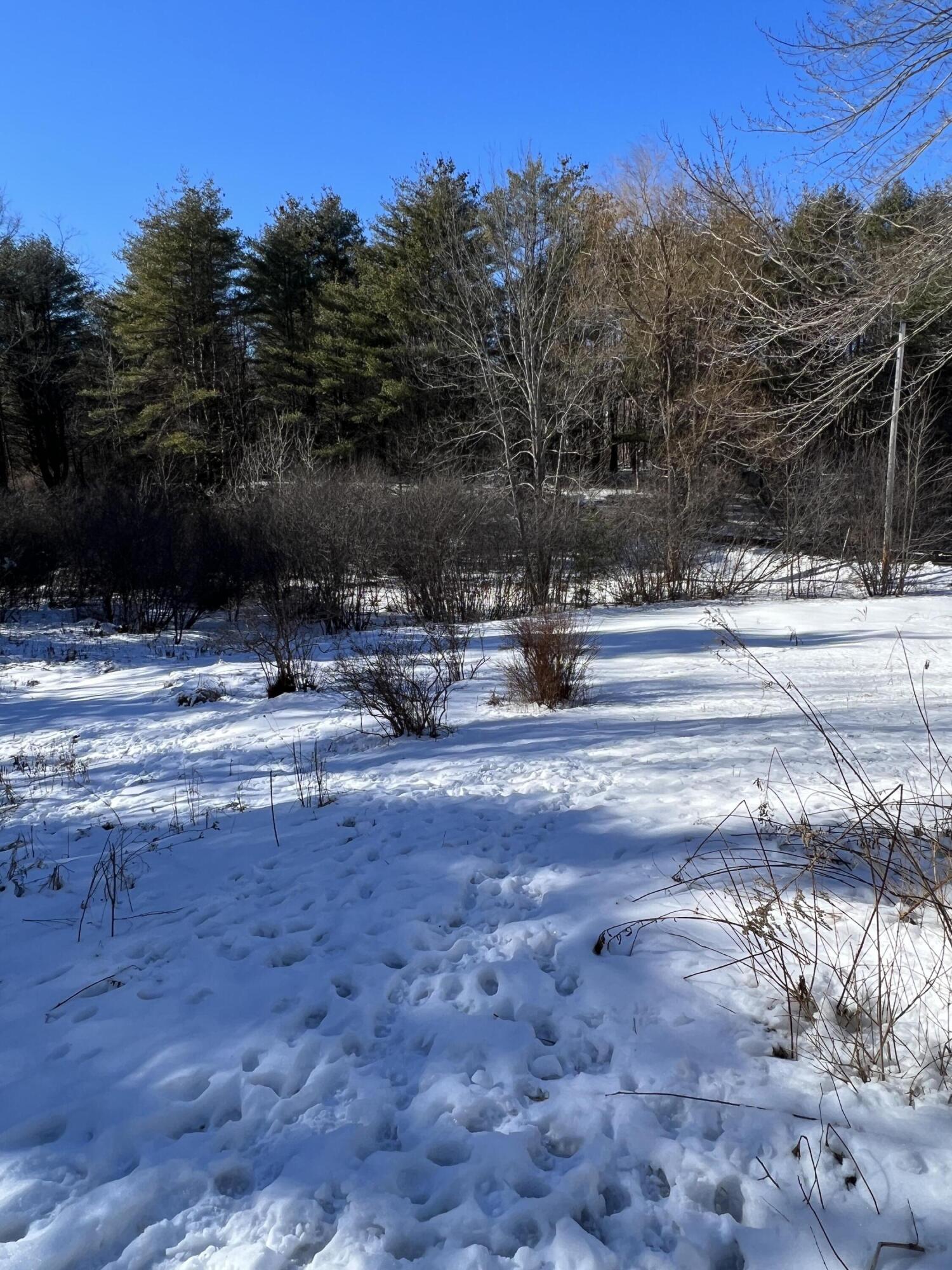 262 Walnut Hill Road