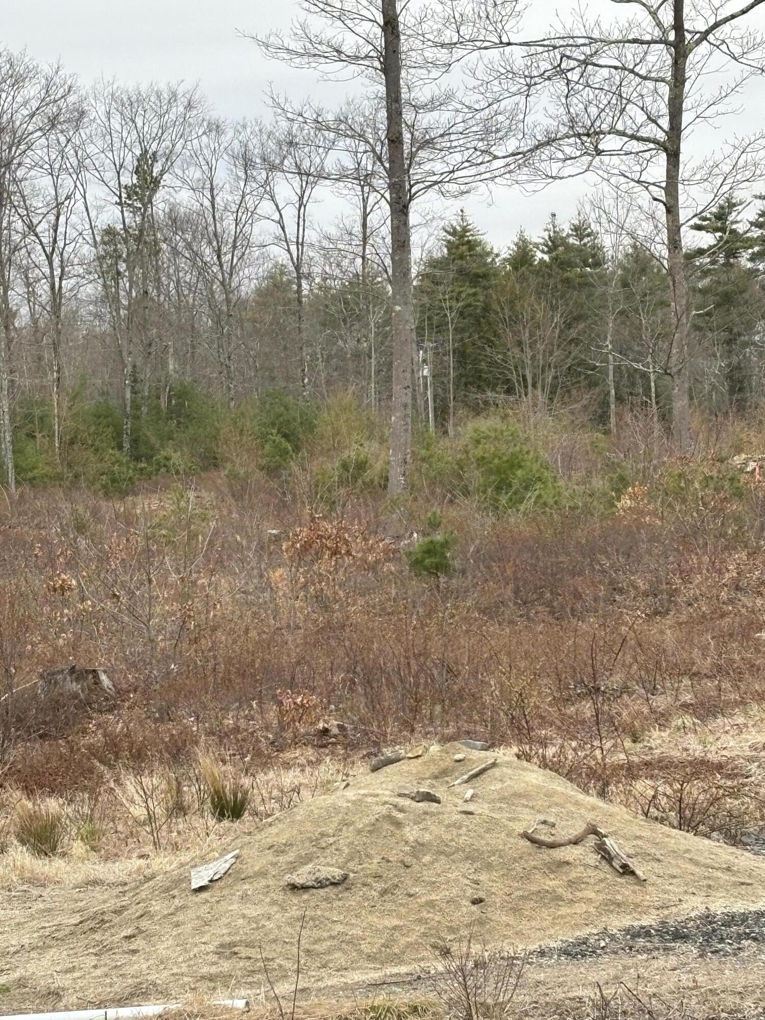Lot 3 Webber Ridge Lane