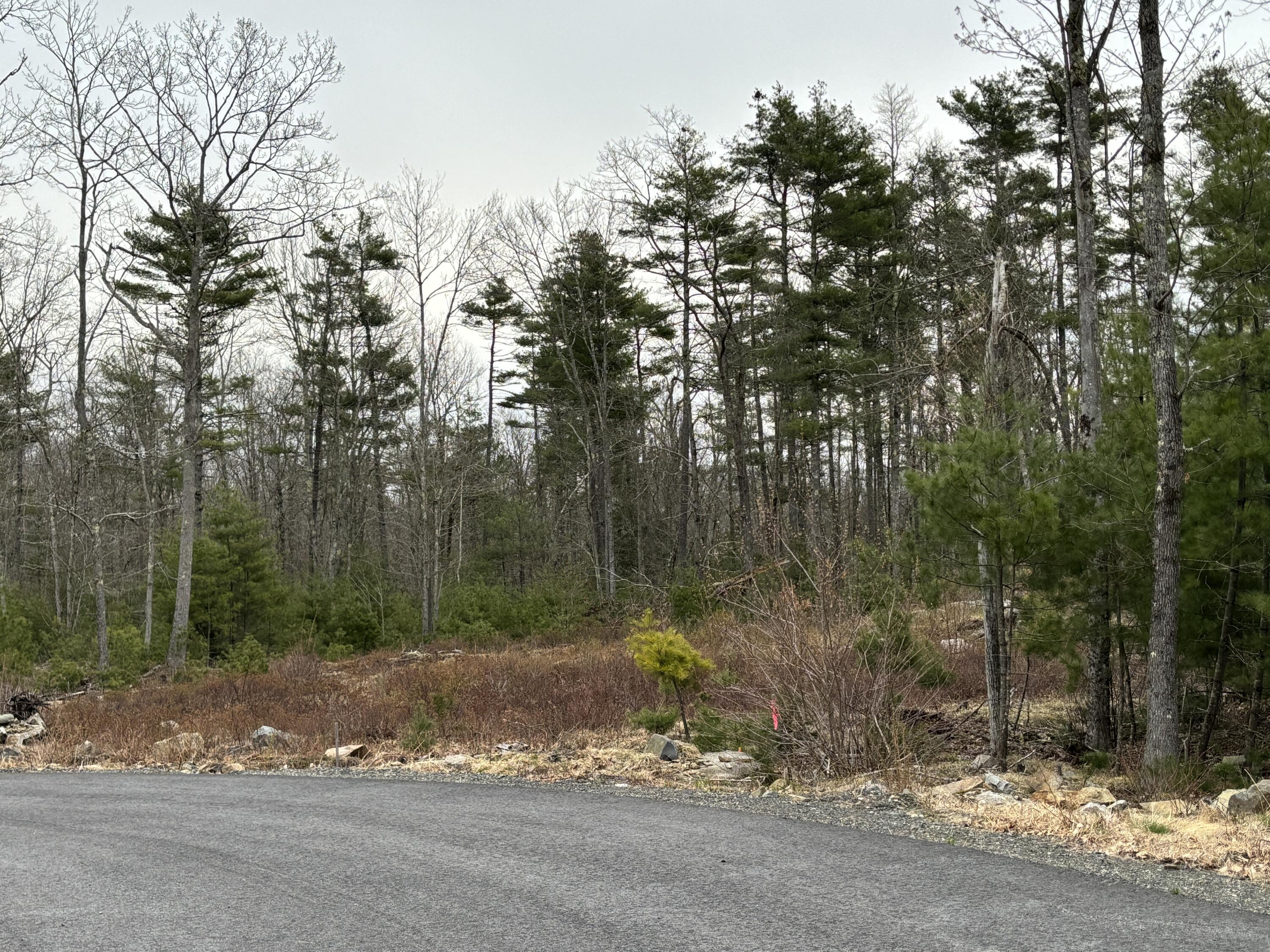 Lot 3 Webber Ridge Lane