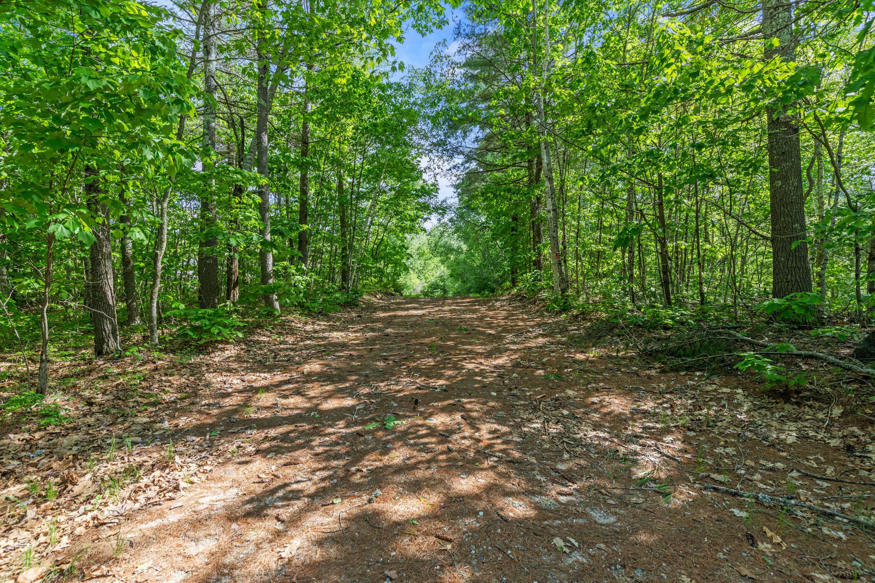 215 State Park Road