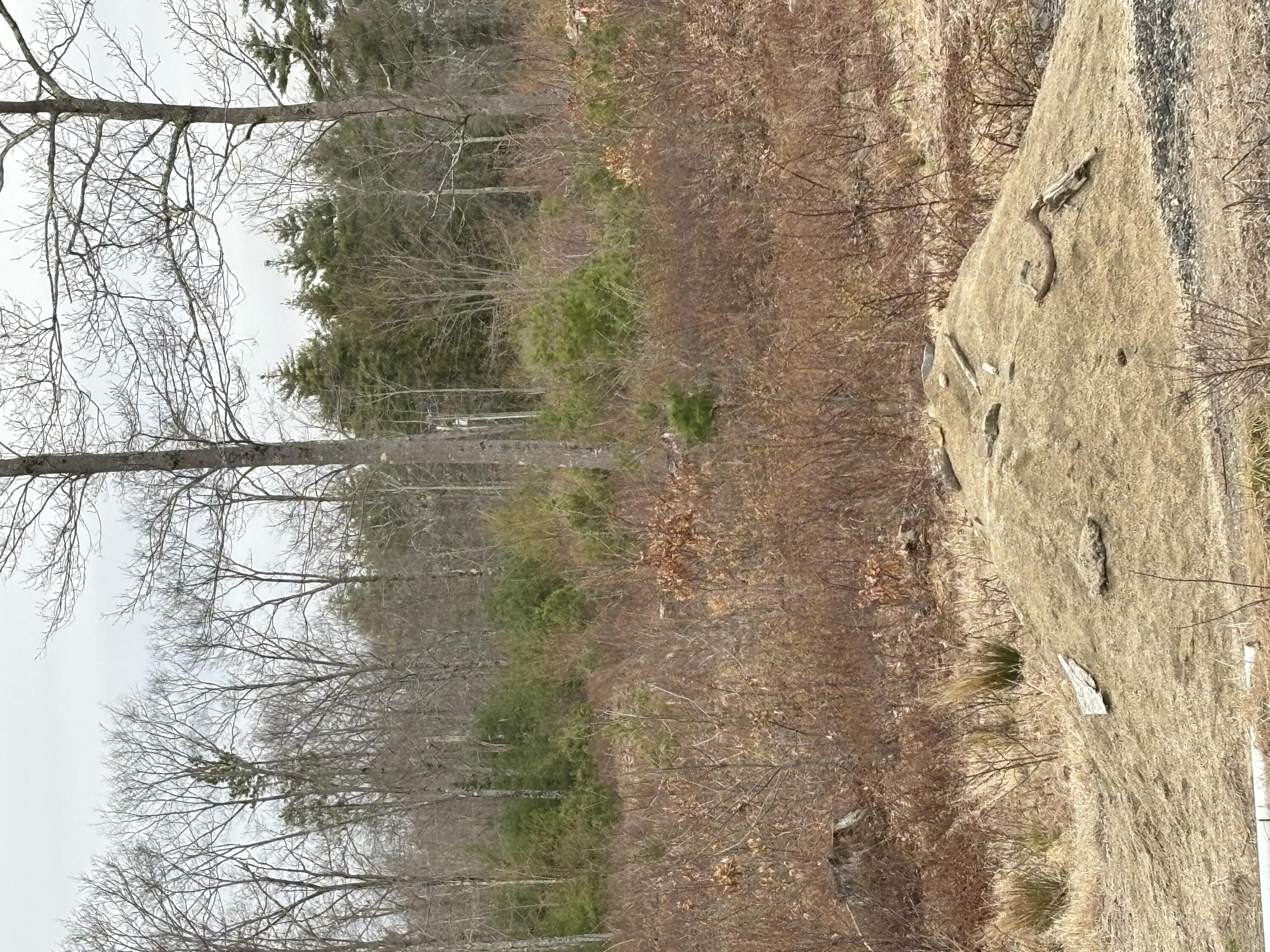Lot 4 Webber Ridge Lane