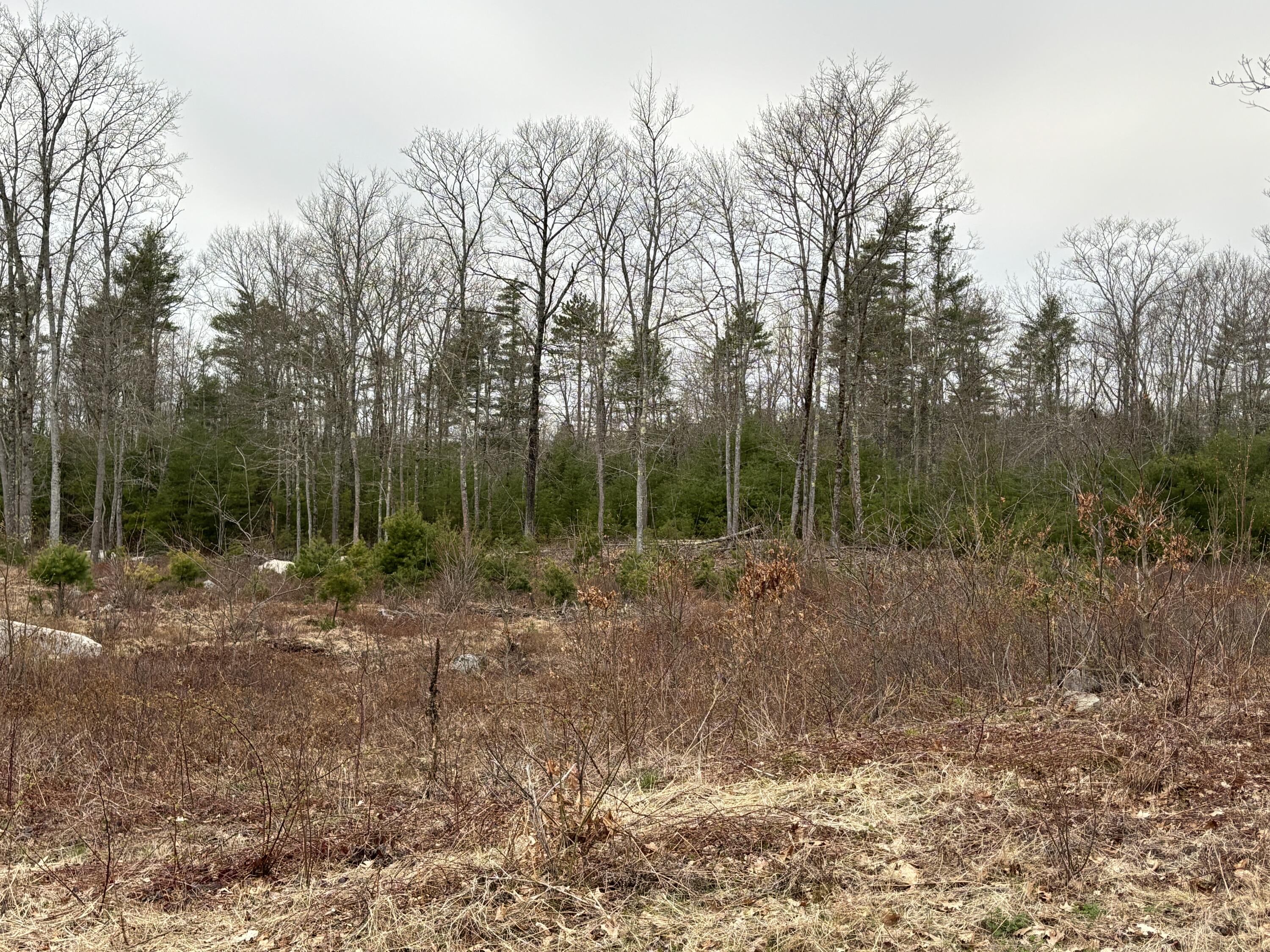 Lot 4 Webber Ridge Lane