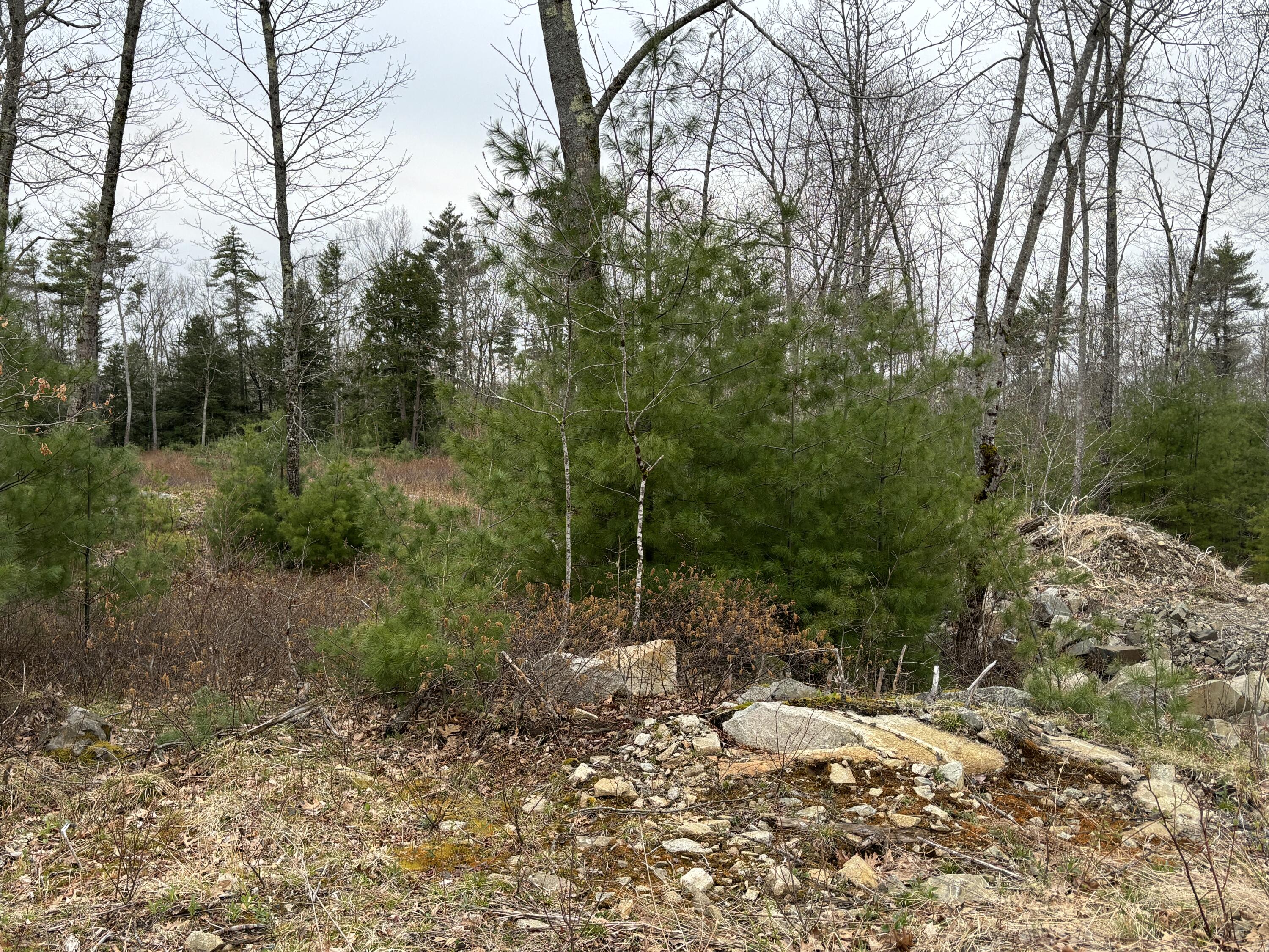 Lot 4 Webber Ridge Lane