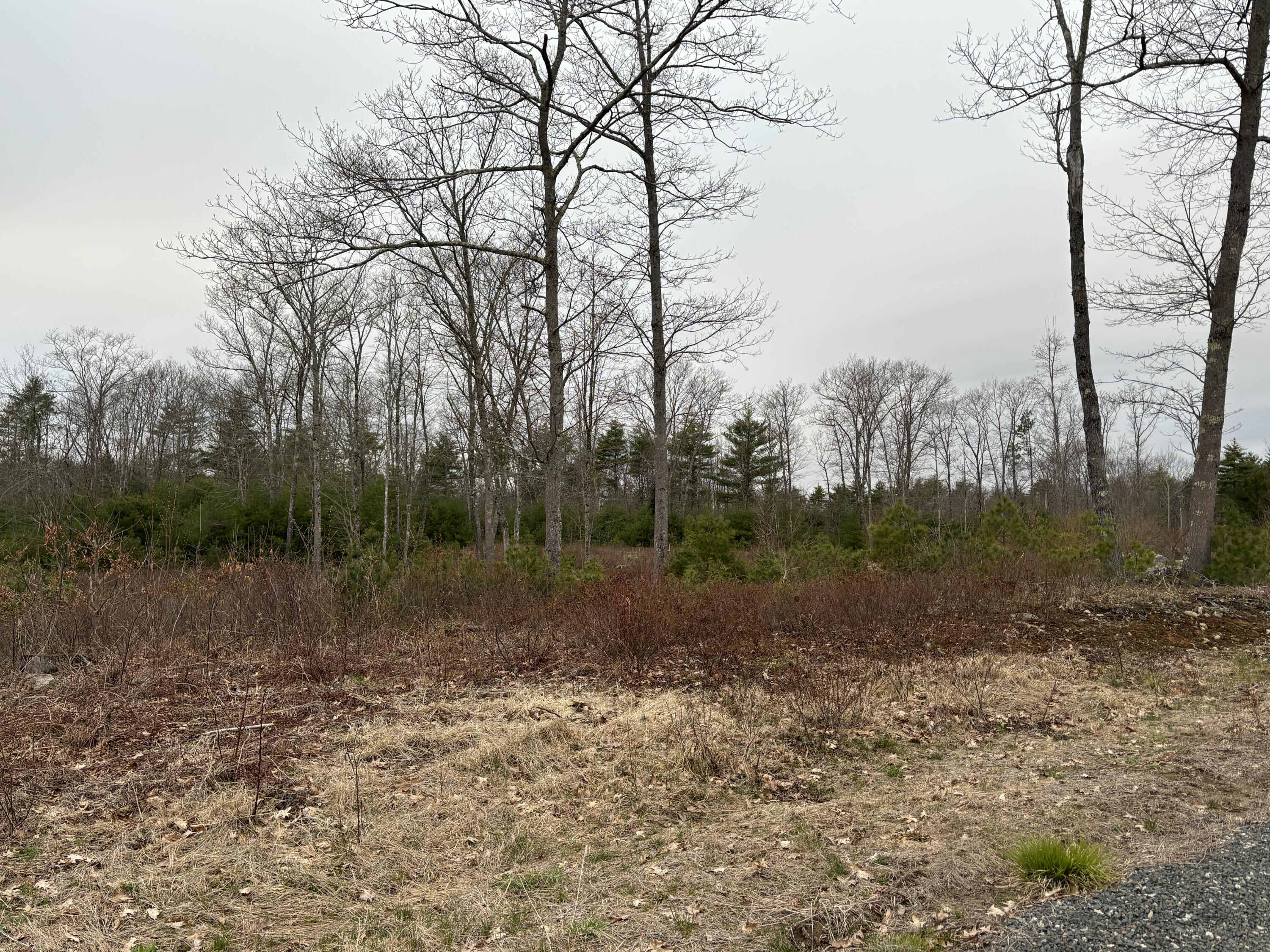 Lot 4 Webber Ridge Lane