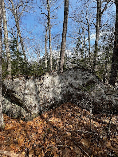 Lot 6 & 8 Albin Road