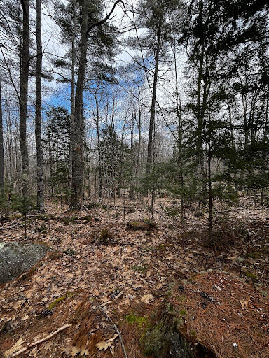 Lot 6 & 8 Albin Road