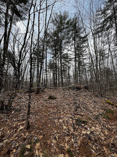 Lot 6 & 8 Albin Road