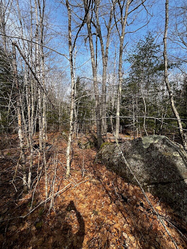 Lot 6 & 8 Albin Road