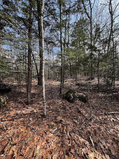 Lot 6 & 8 Albin Road