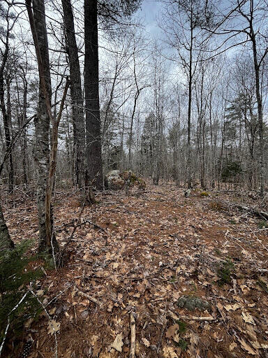 Lot 6 & 8 Albin Road