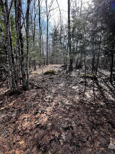 Lot 6 & 8 Albin Road