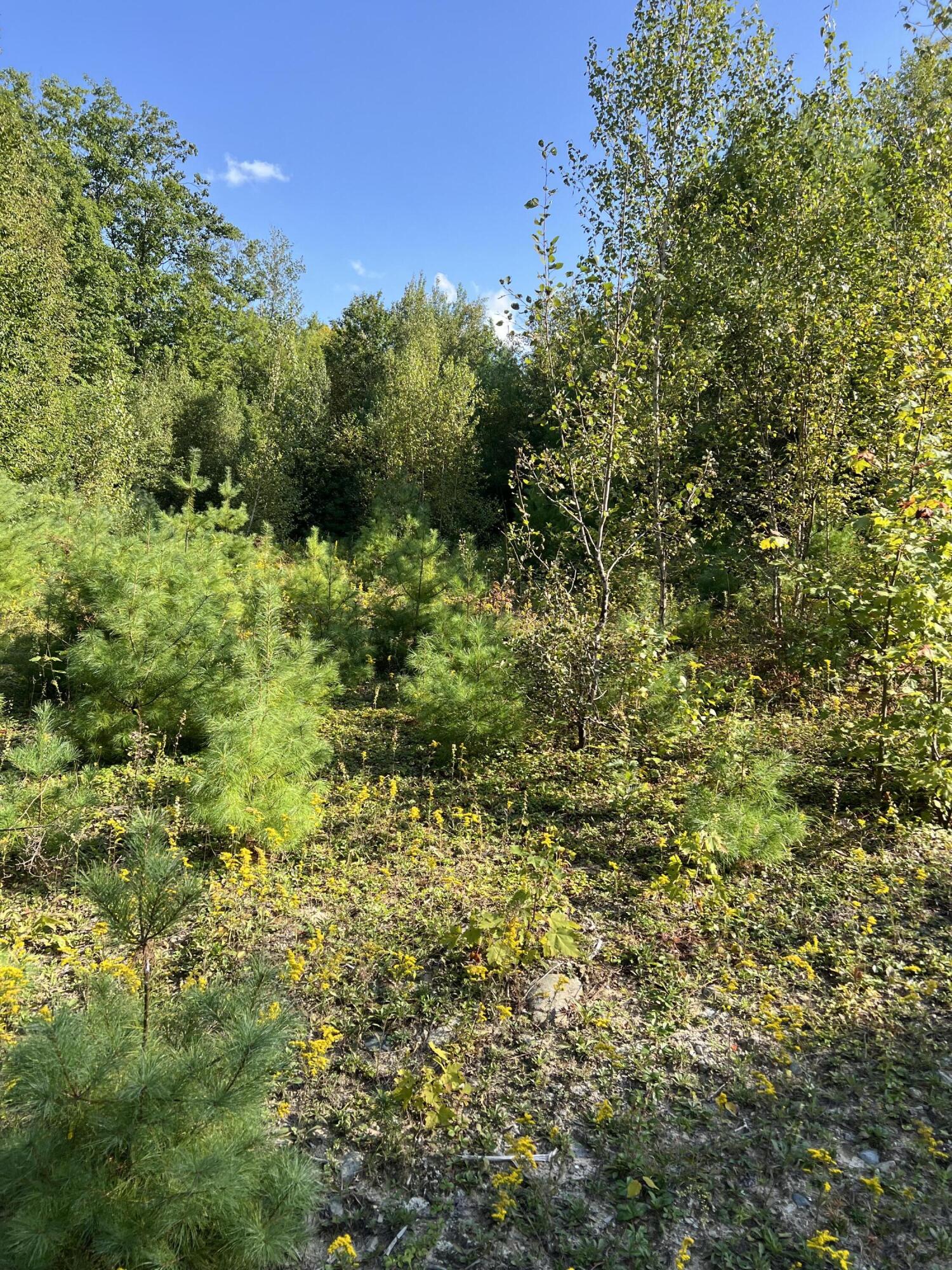 Lot 9 Songo Pond Road