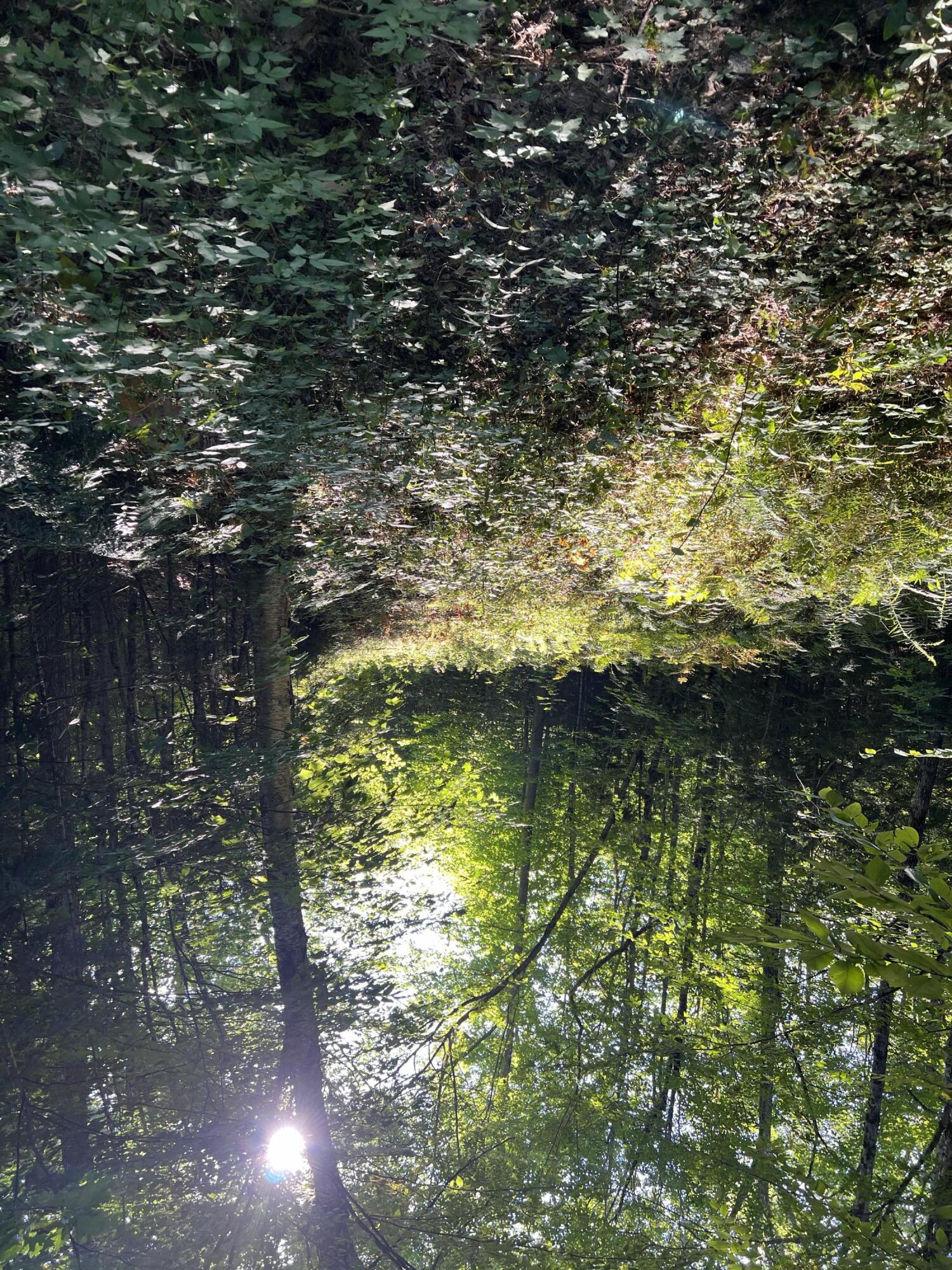 Lot 9 Songo Pond Road