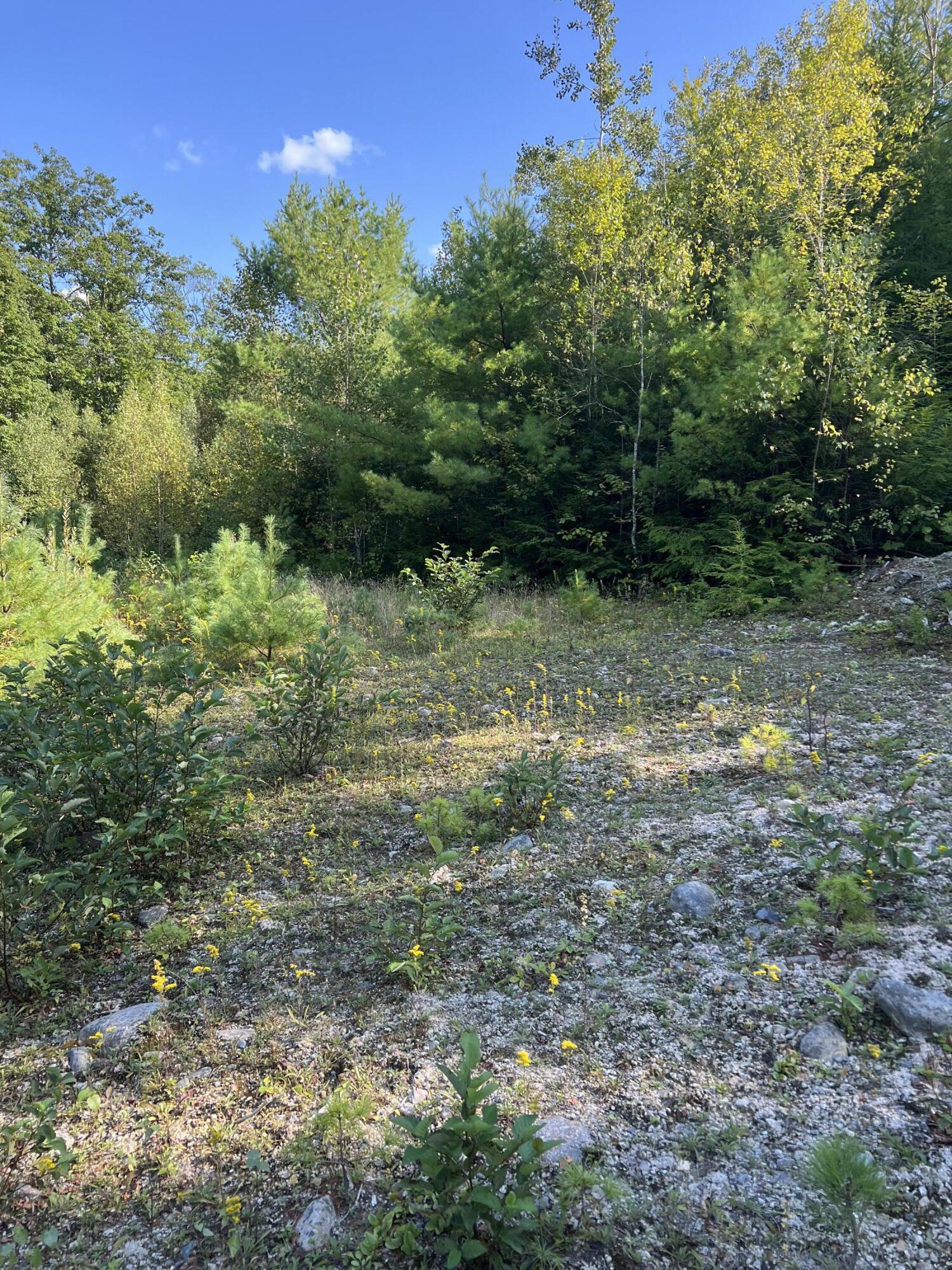 Lot 9 Songo Pond Road