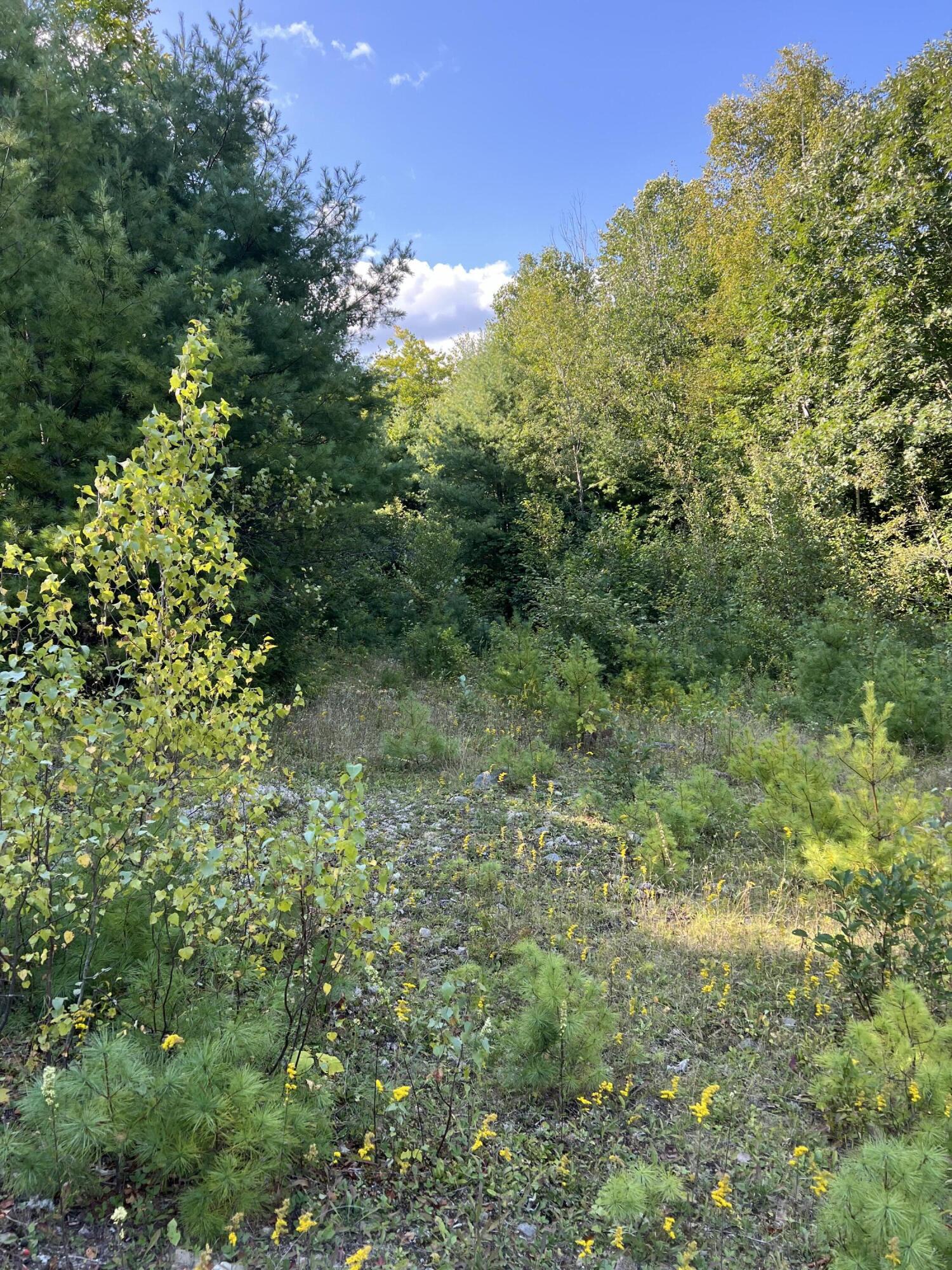Lot 9 Songo Pond Road