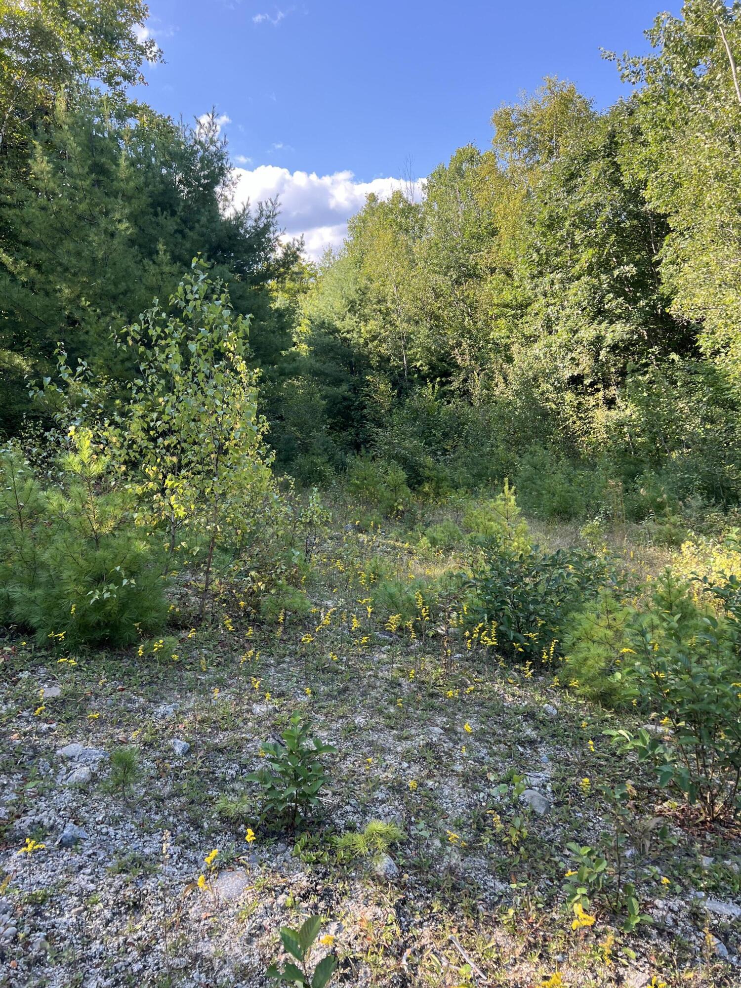 Lot 9 Songo Pond Road