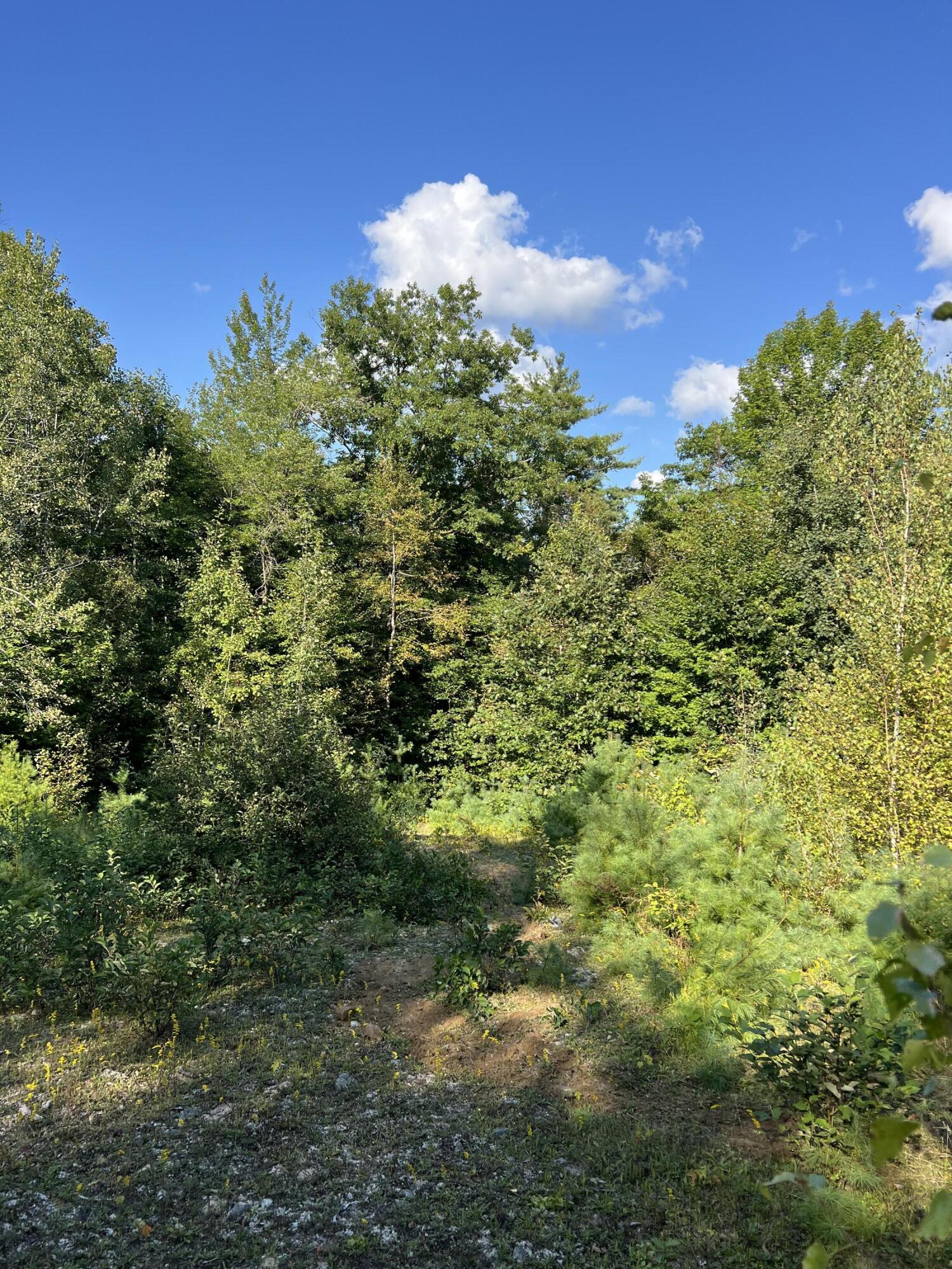 Lot 9 Songo Pond Road