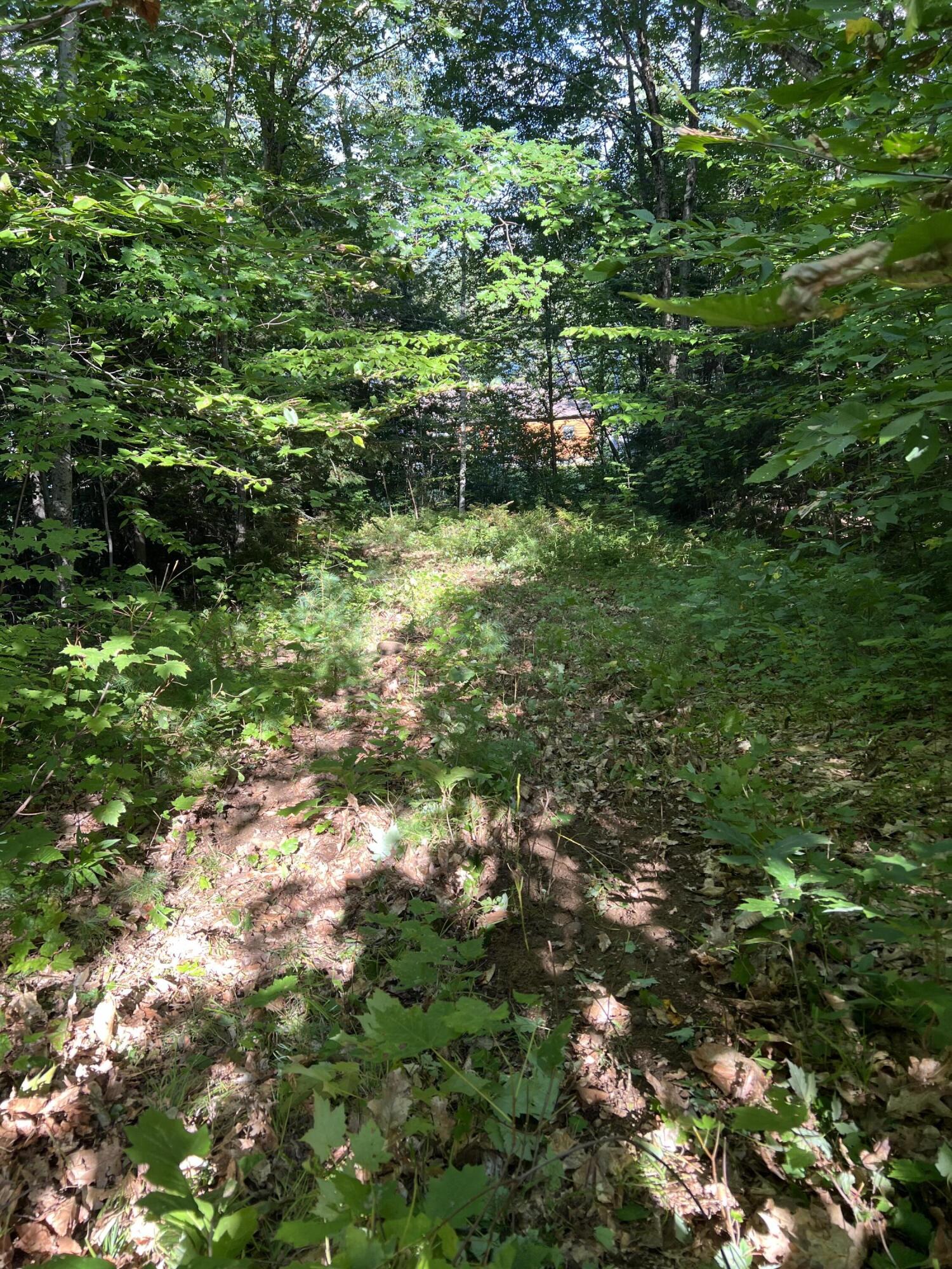 Lot 9 Songo Pond Road