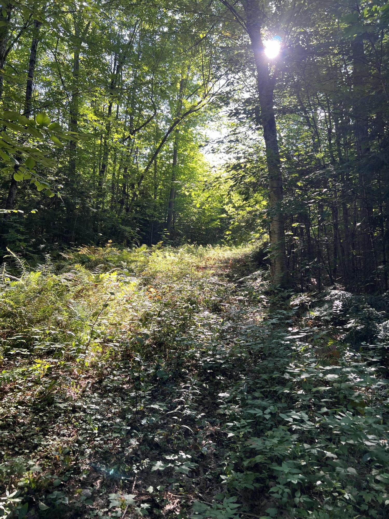 Lot 9 Songo Pond Road