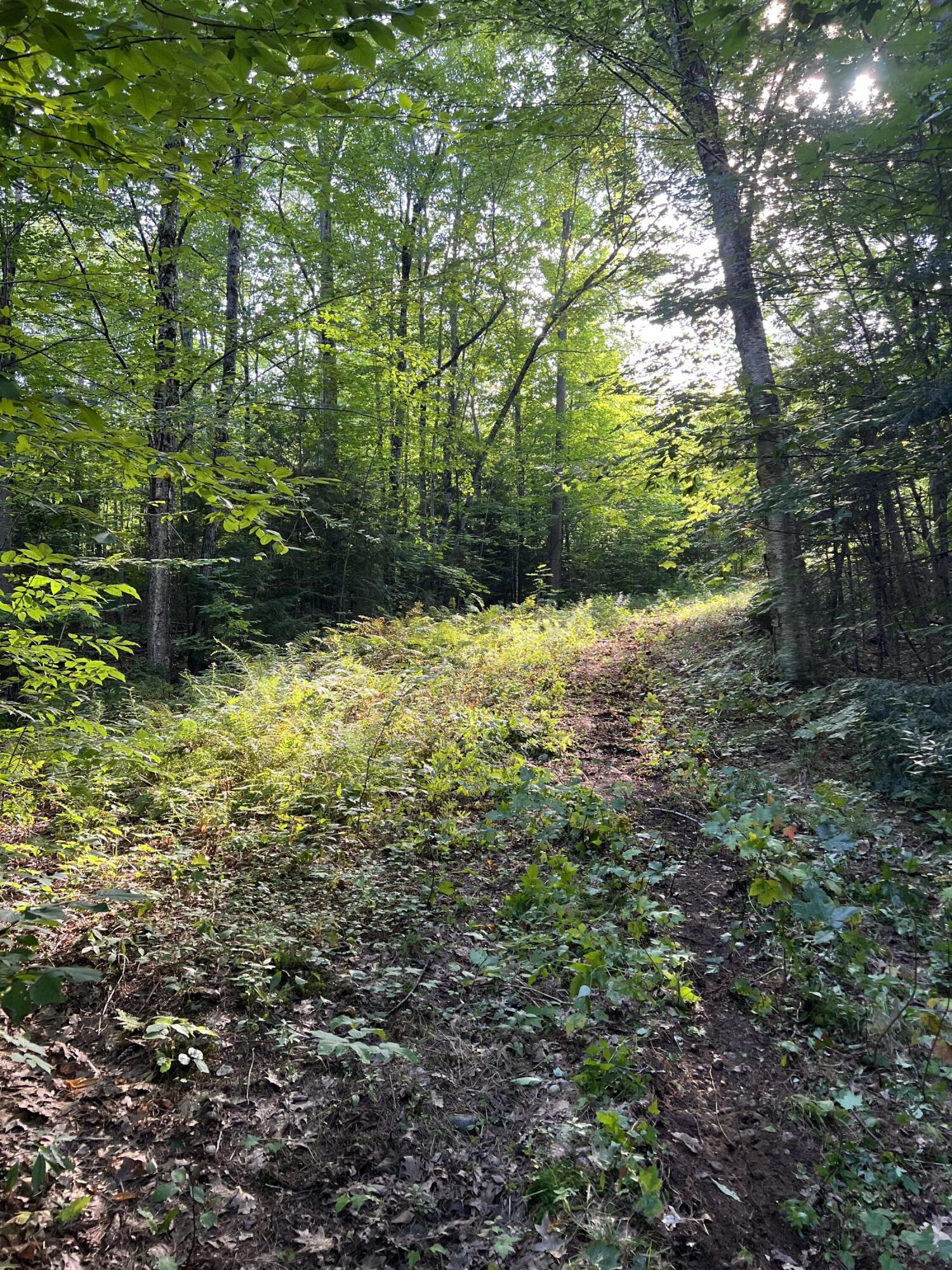 Lot 9 Songo Pond Road