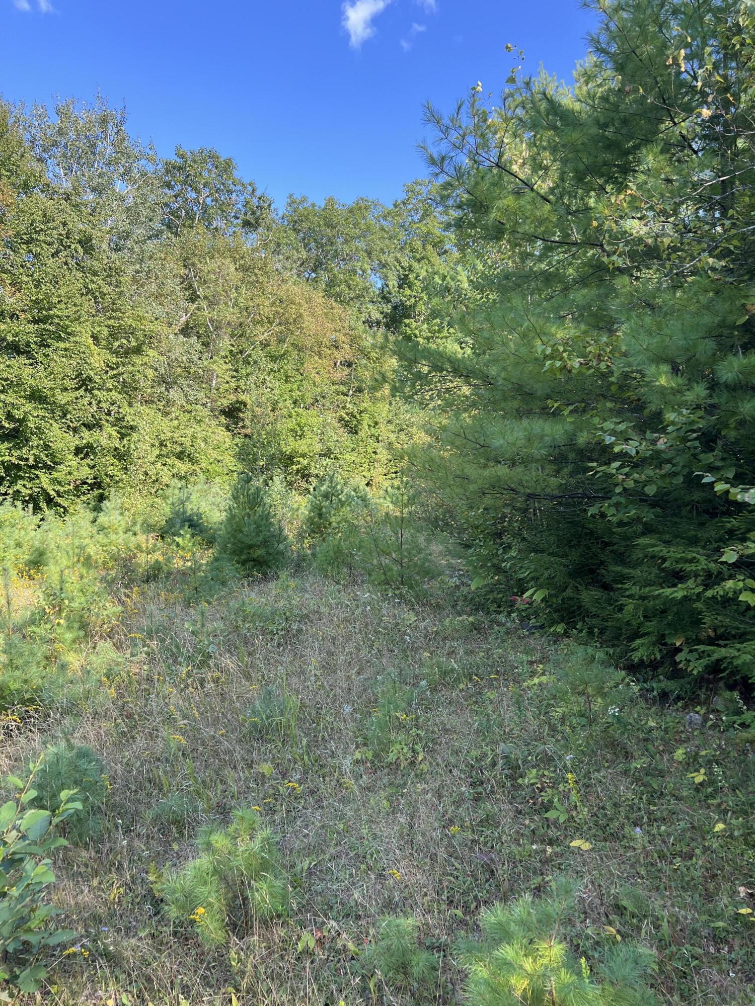 Lot 9 Songo Pond Road