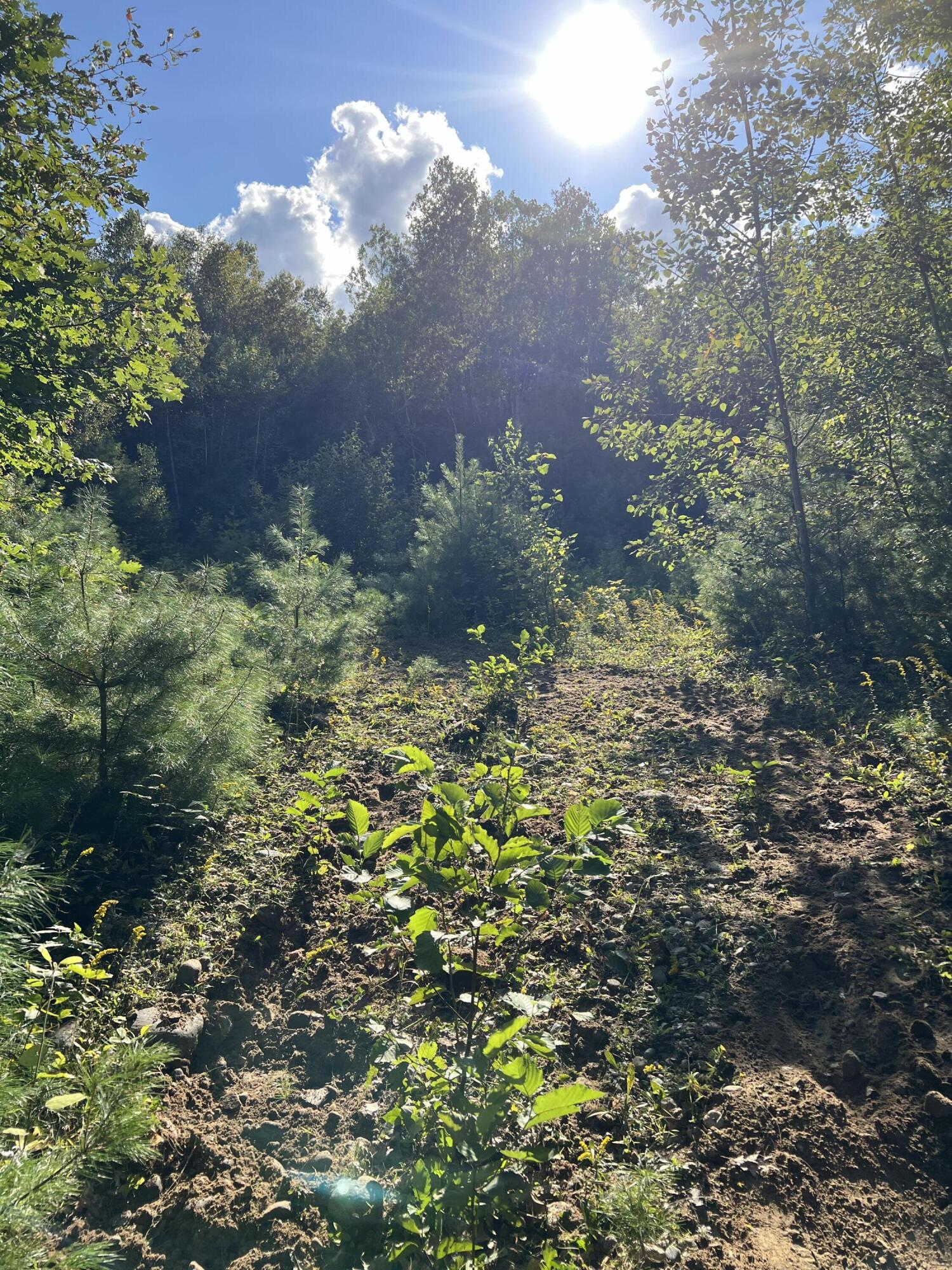 Lot 9 Songo Pond Road