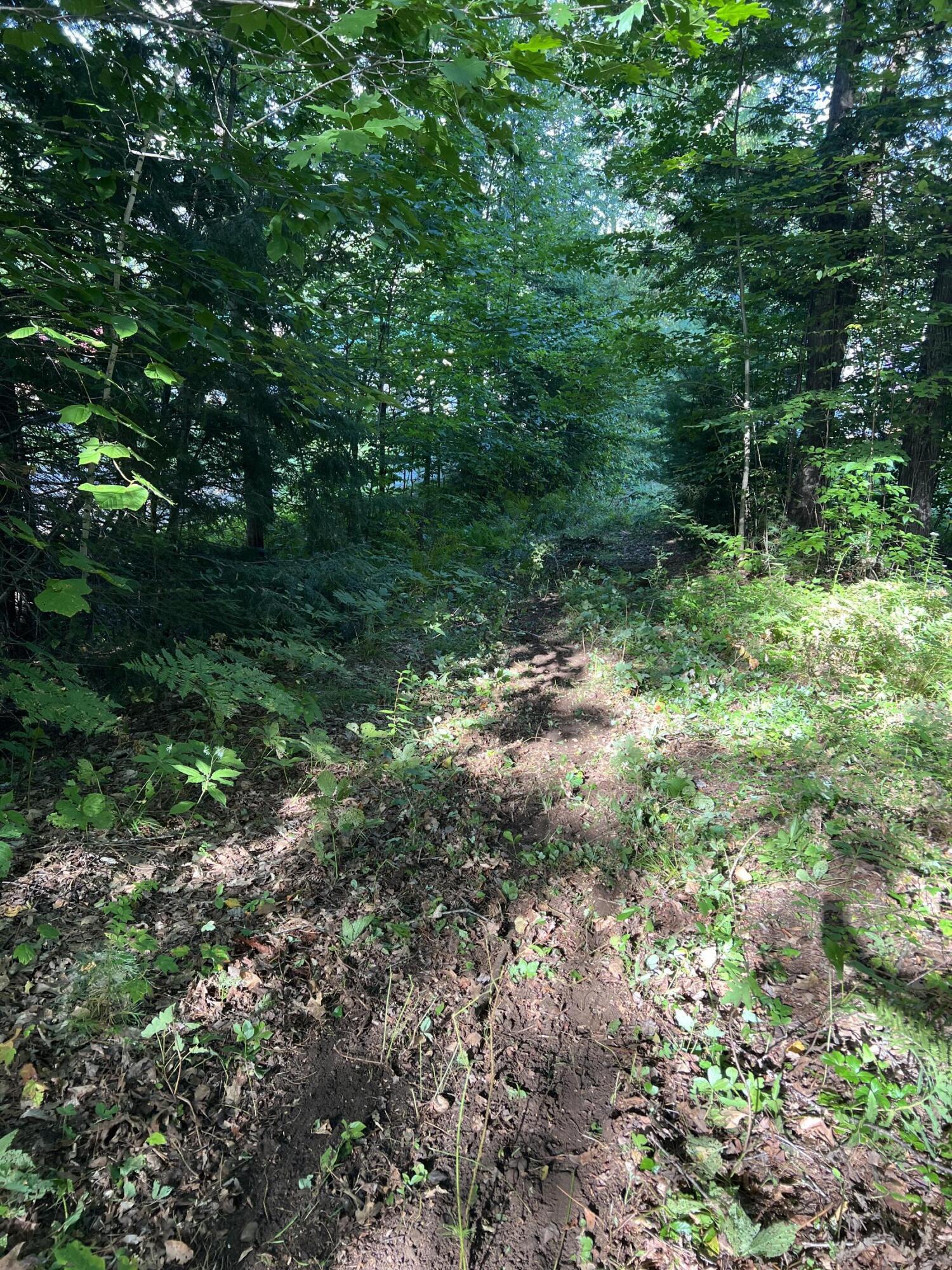 Lot 9 Songo Pond Road