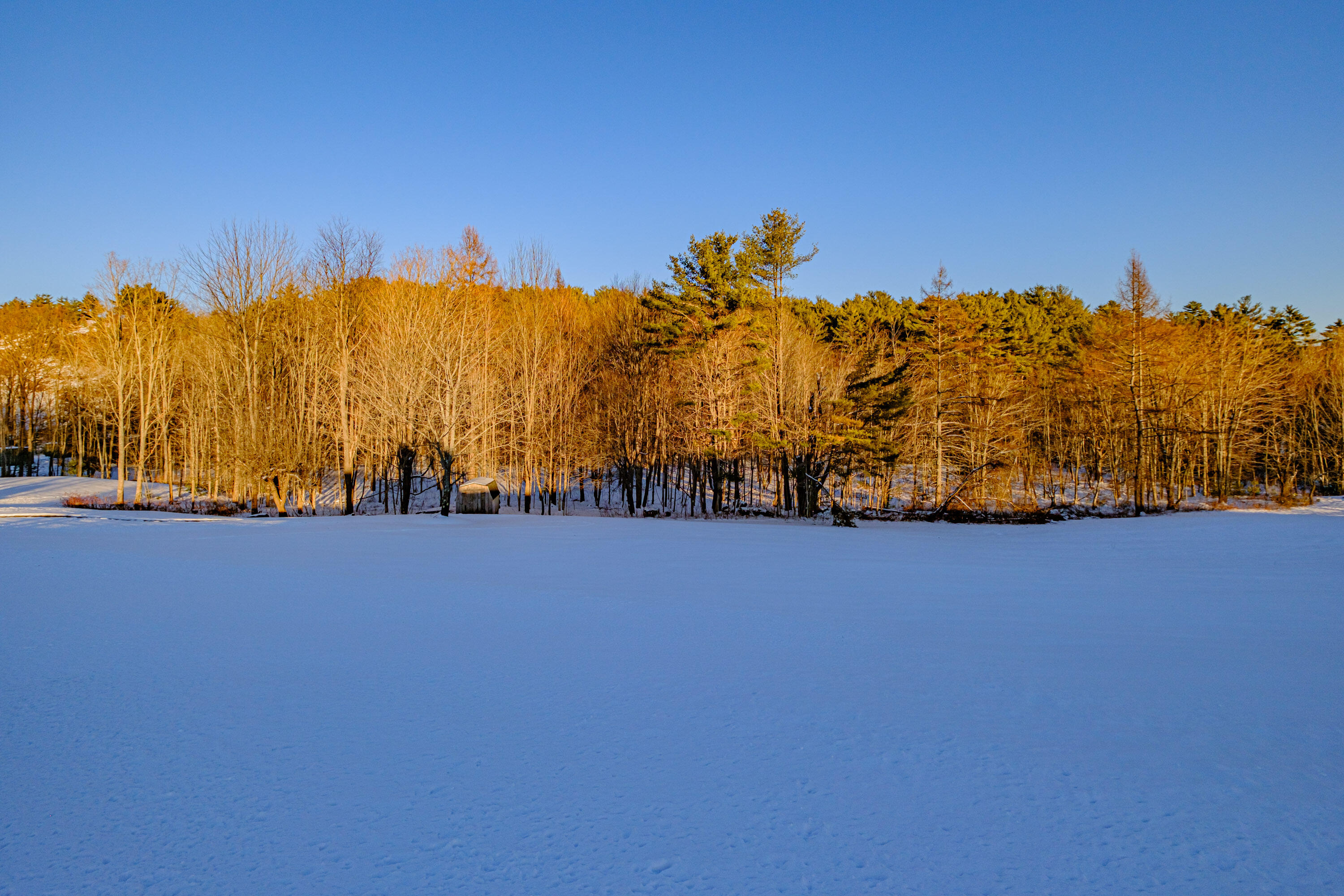308 Christian Ridge Road