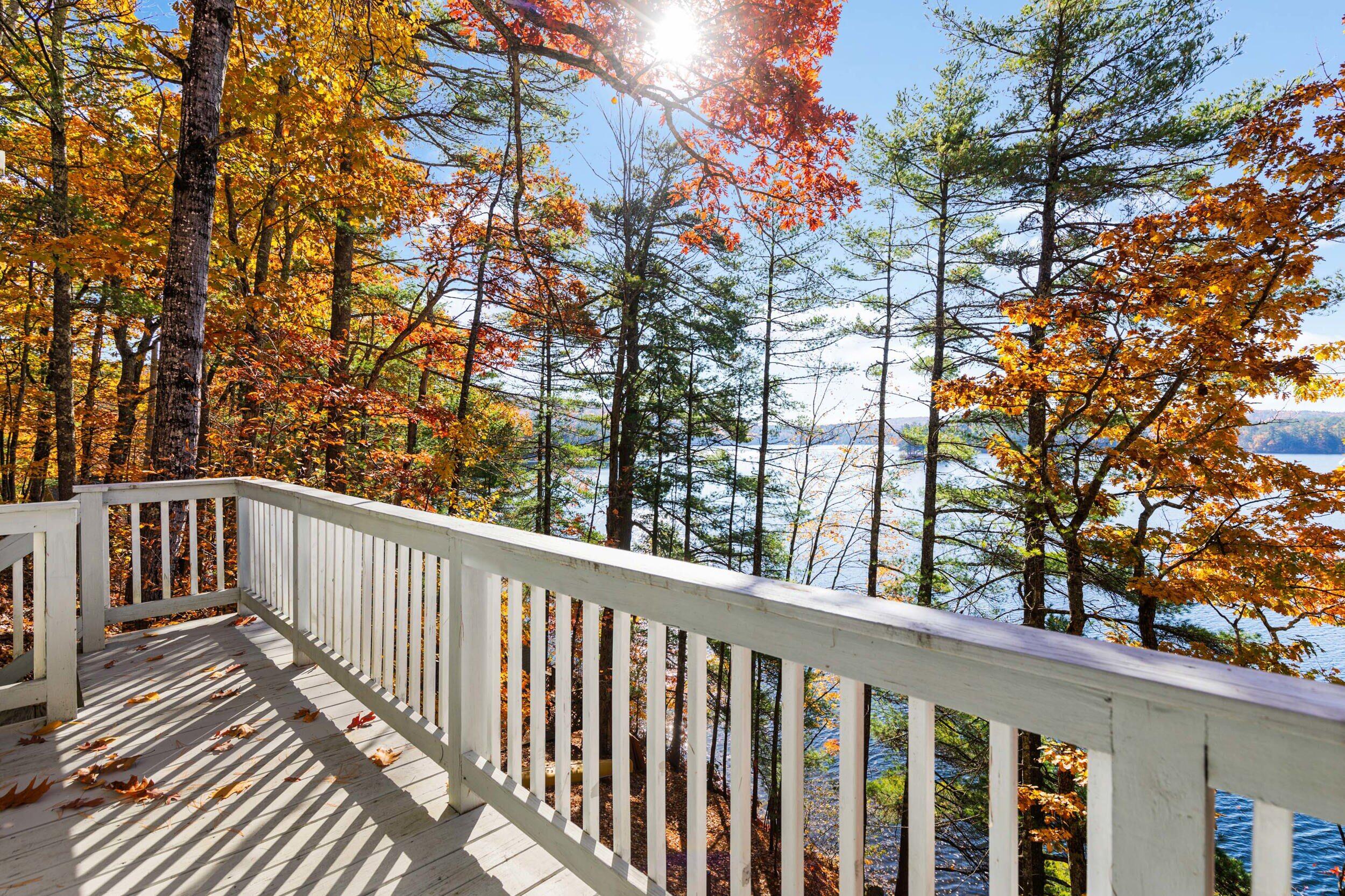 23 Baxter Road, A