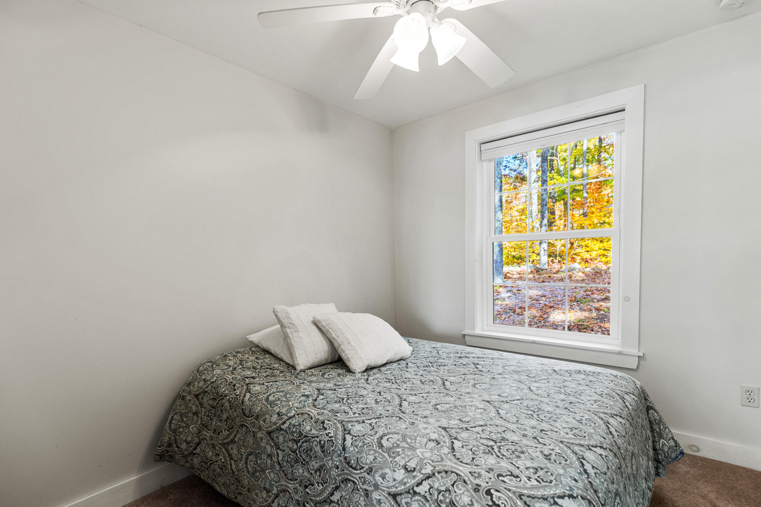 23 Baxter Road, A
