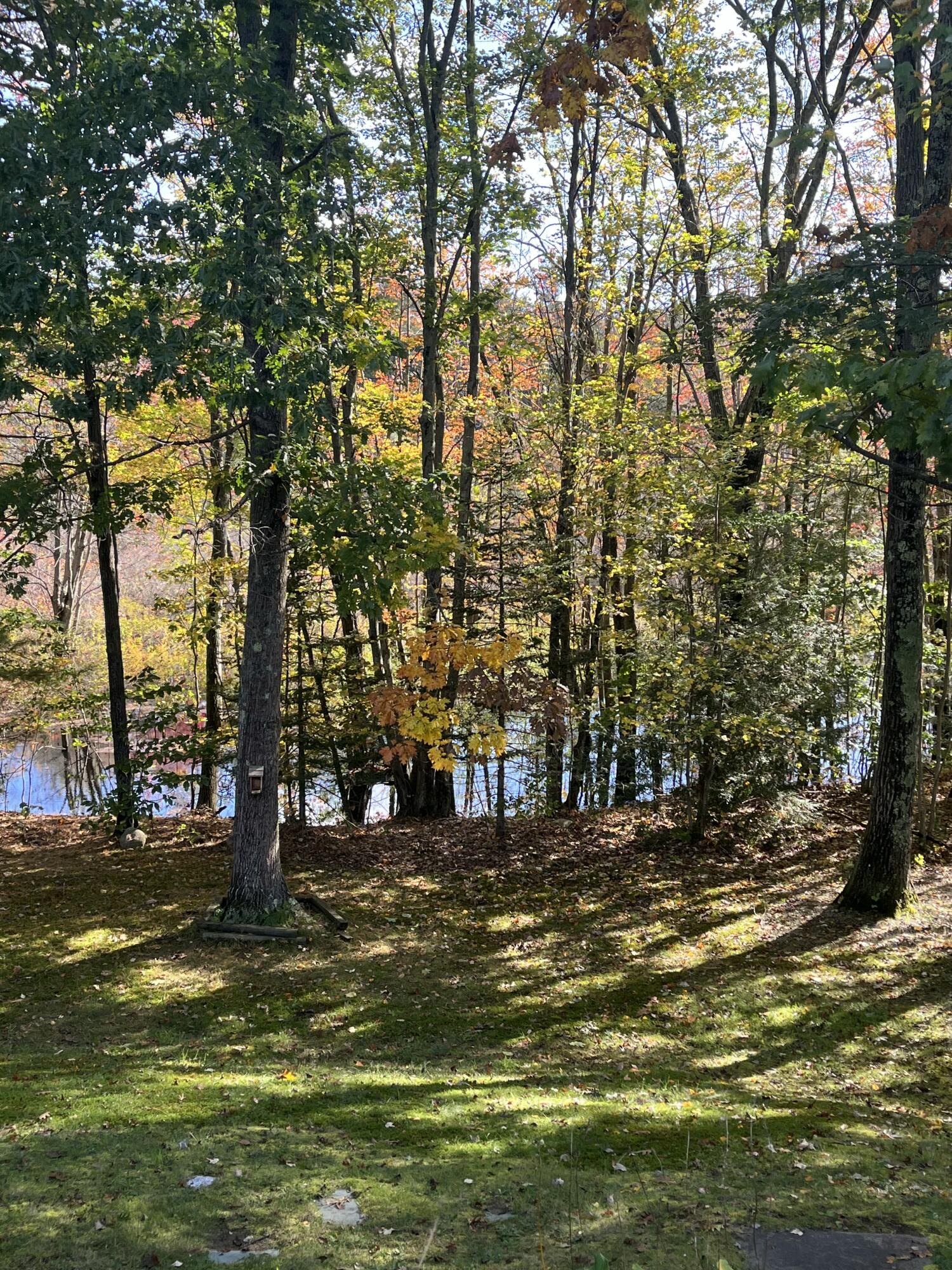 5 Running Brook Drive