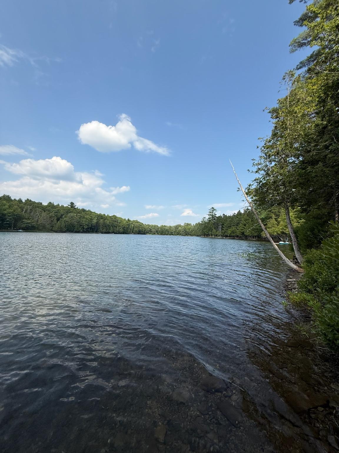 59 McDonald Road Road