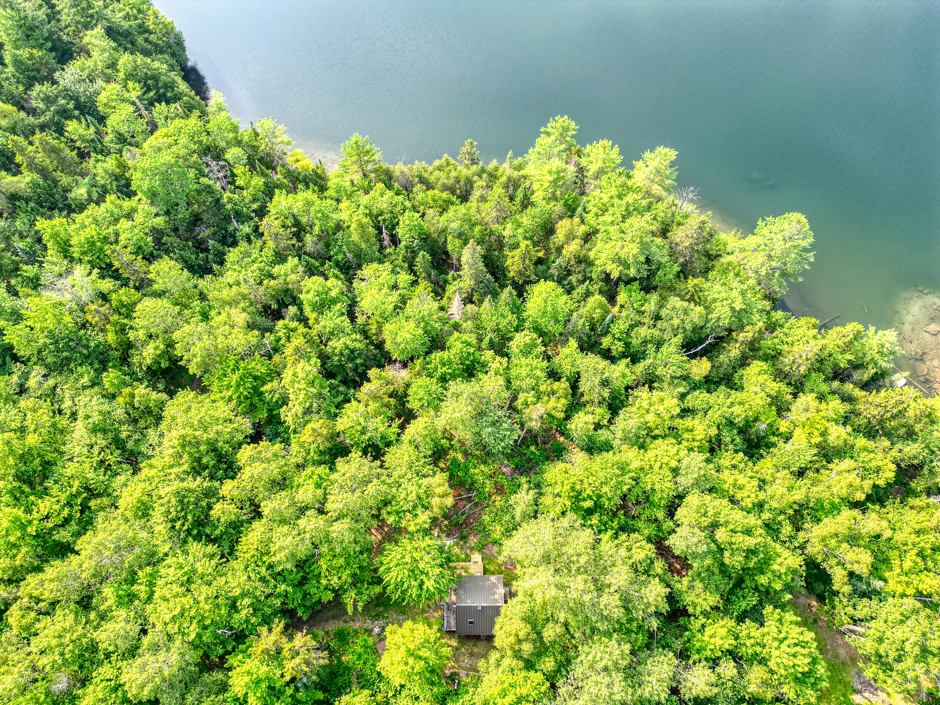 59 McDonald Road Road