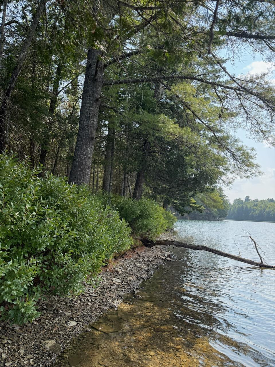 59 McDonald Road Road