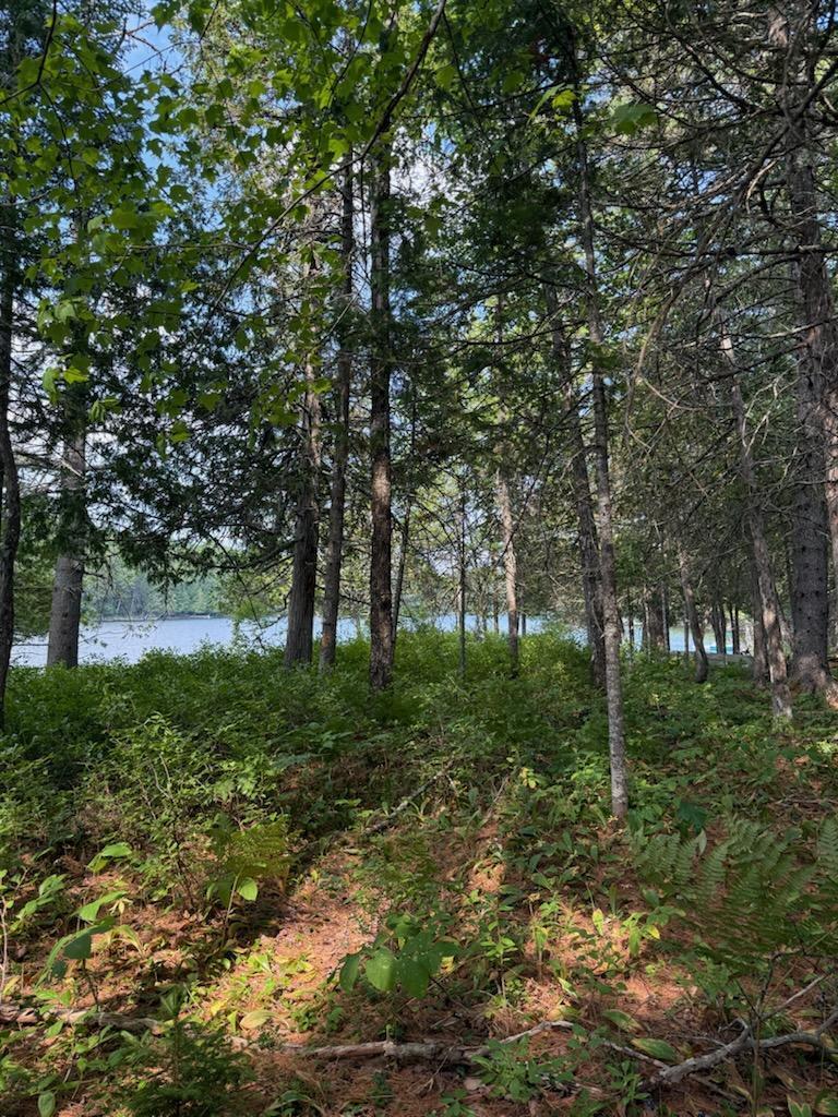 59 McDonald Road Road