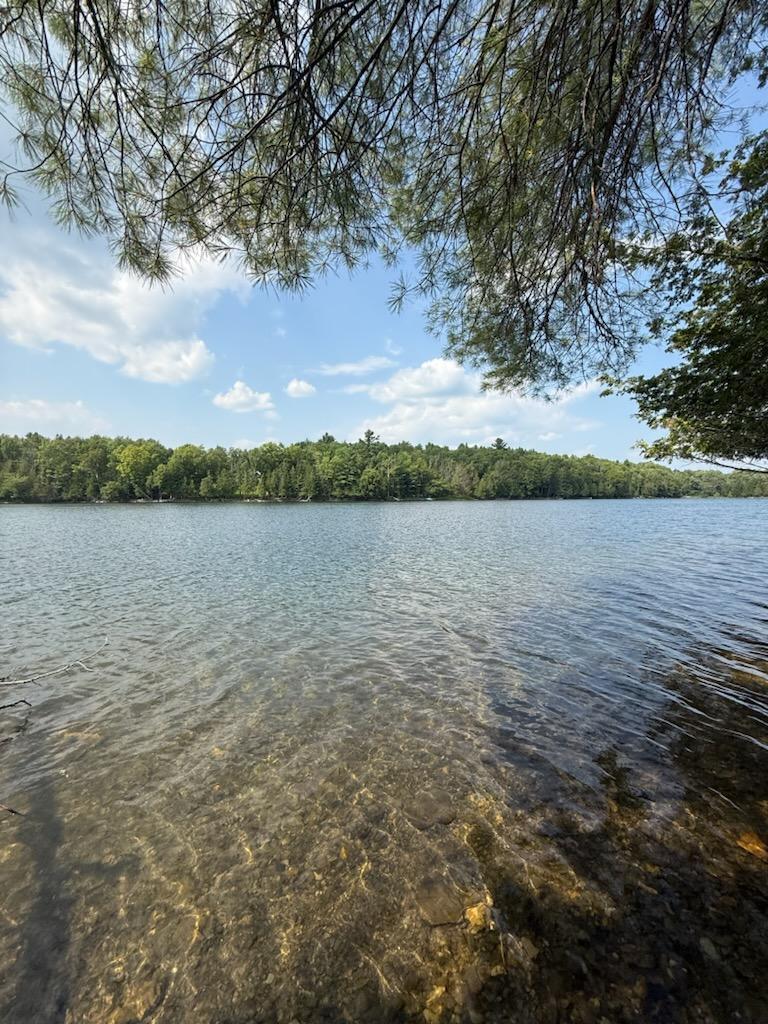 59 McDonald Road Road