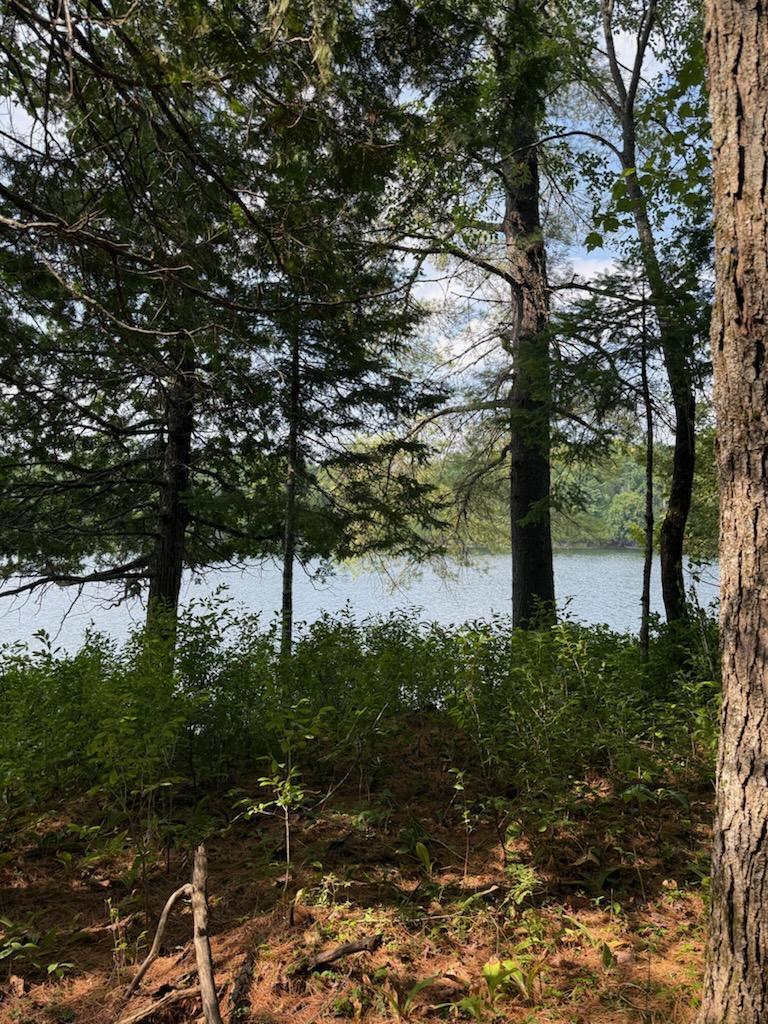 59 McDonald Road Road