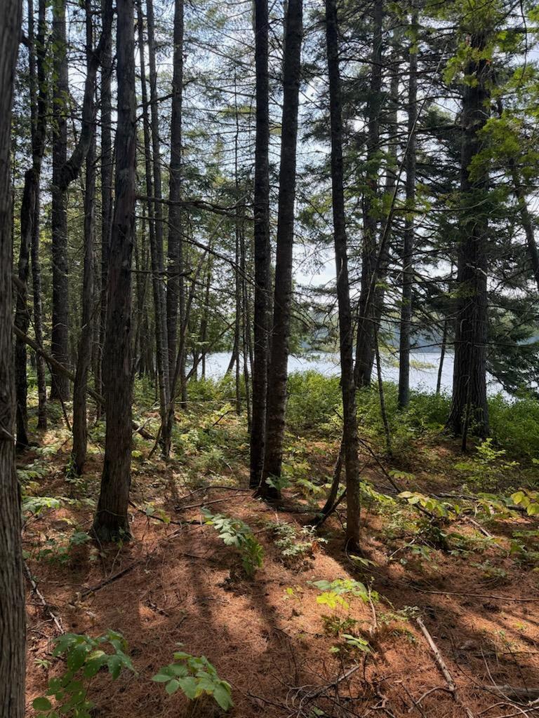 59 McDonald Road Road