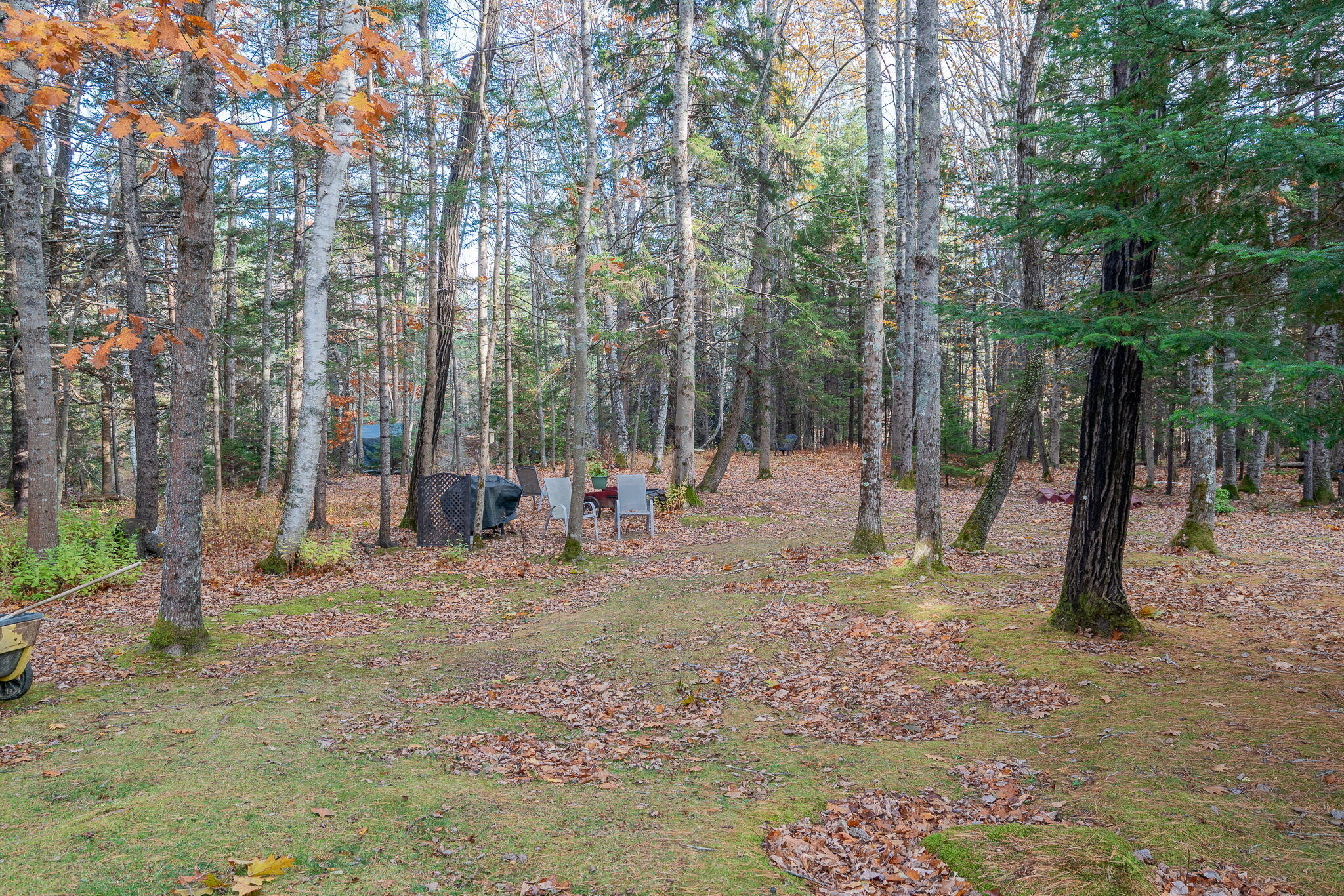 41 Spruce Brook Drive