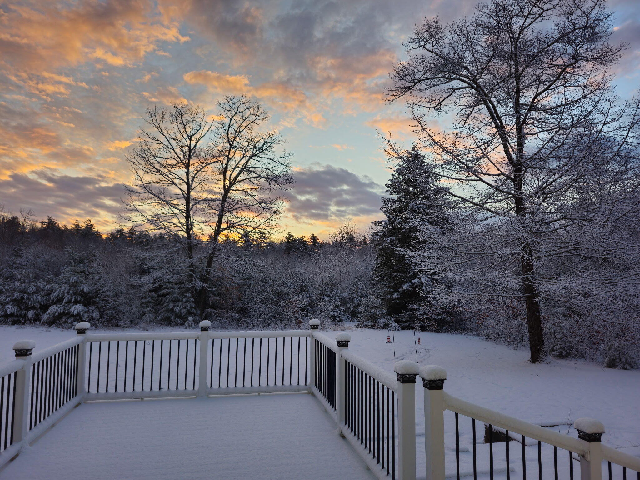 61 Checkerberry Lane