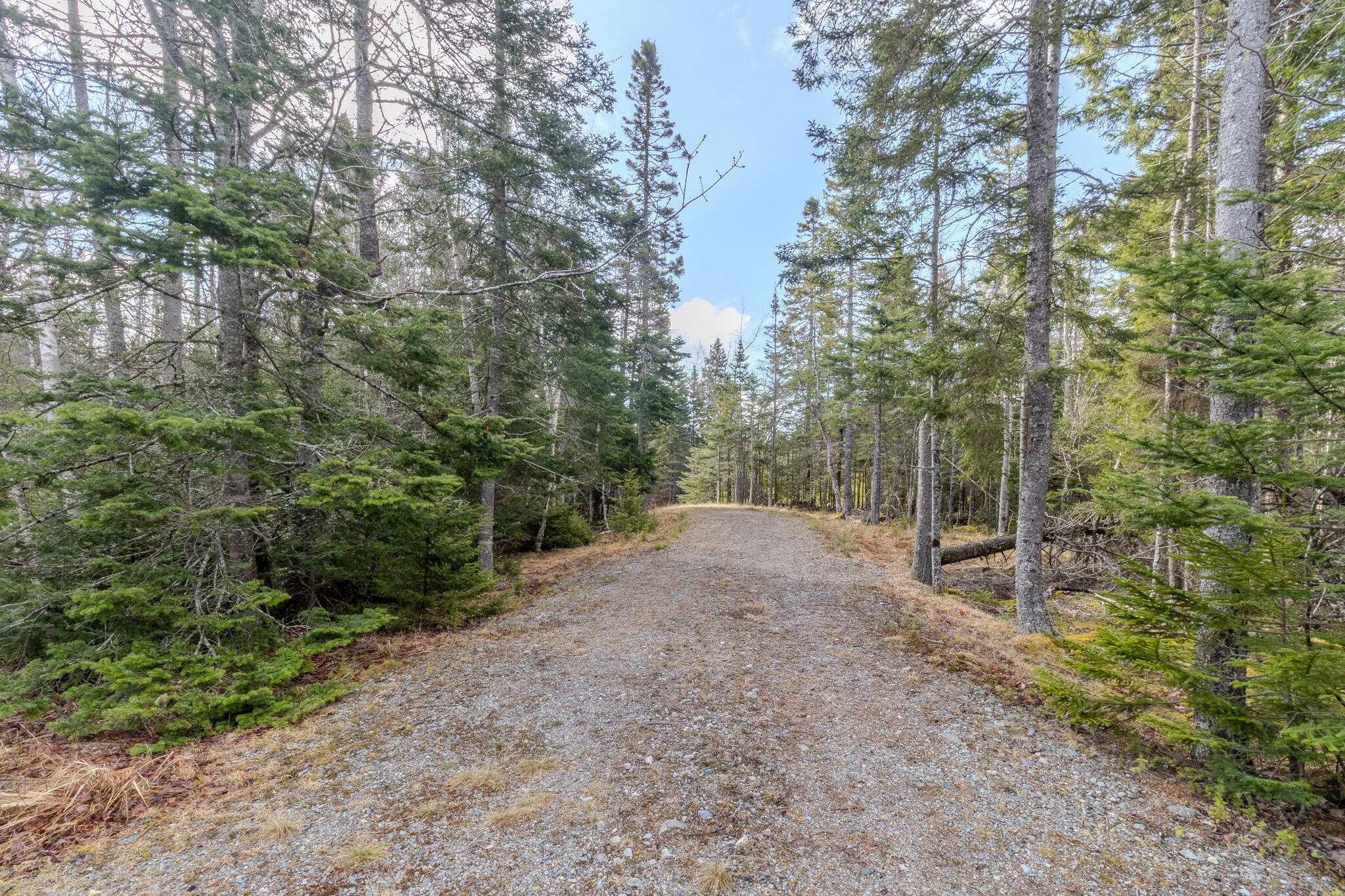 57 Yoho Head Road