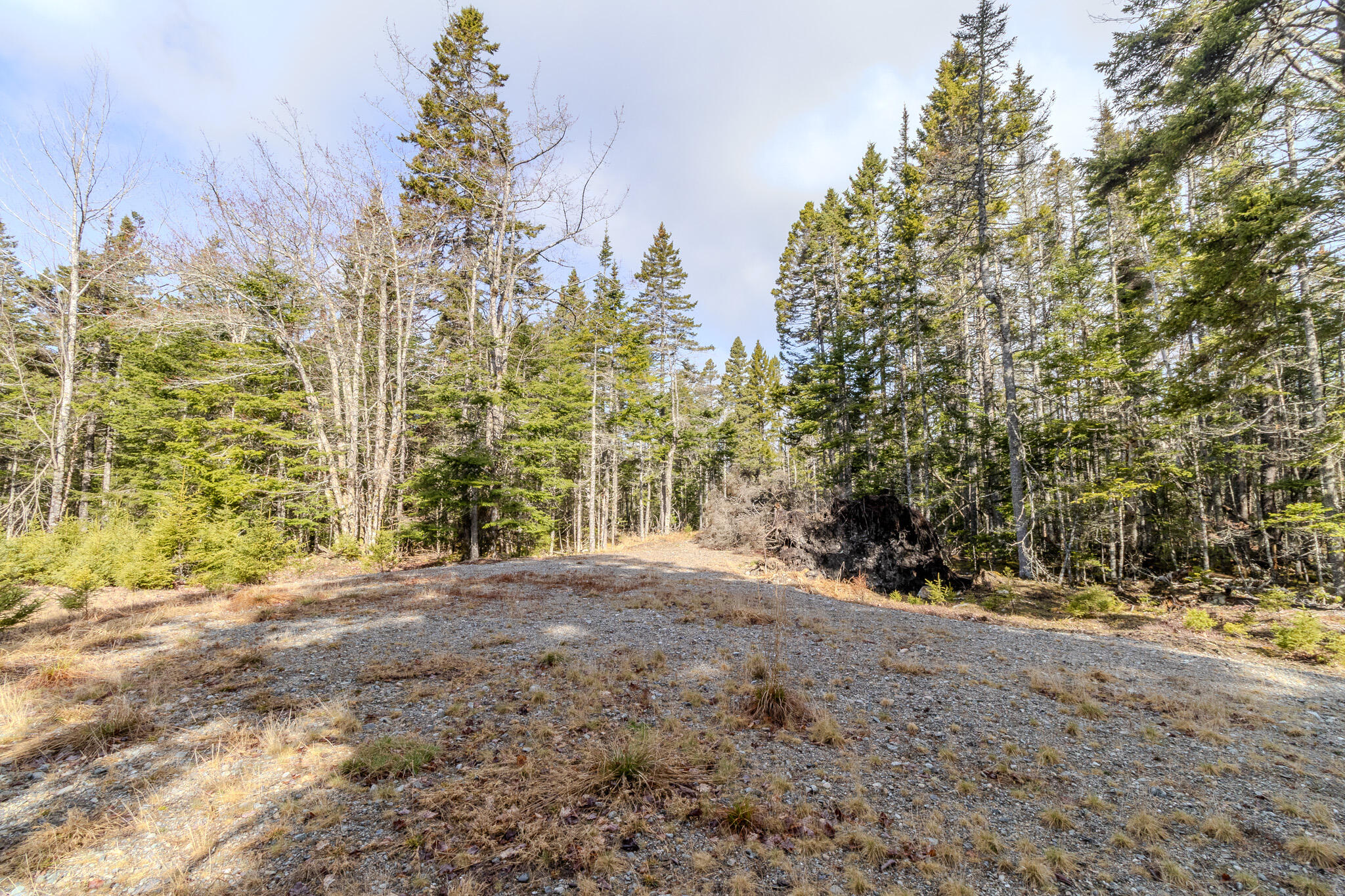 57 Yoho Head Road