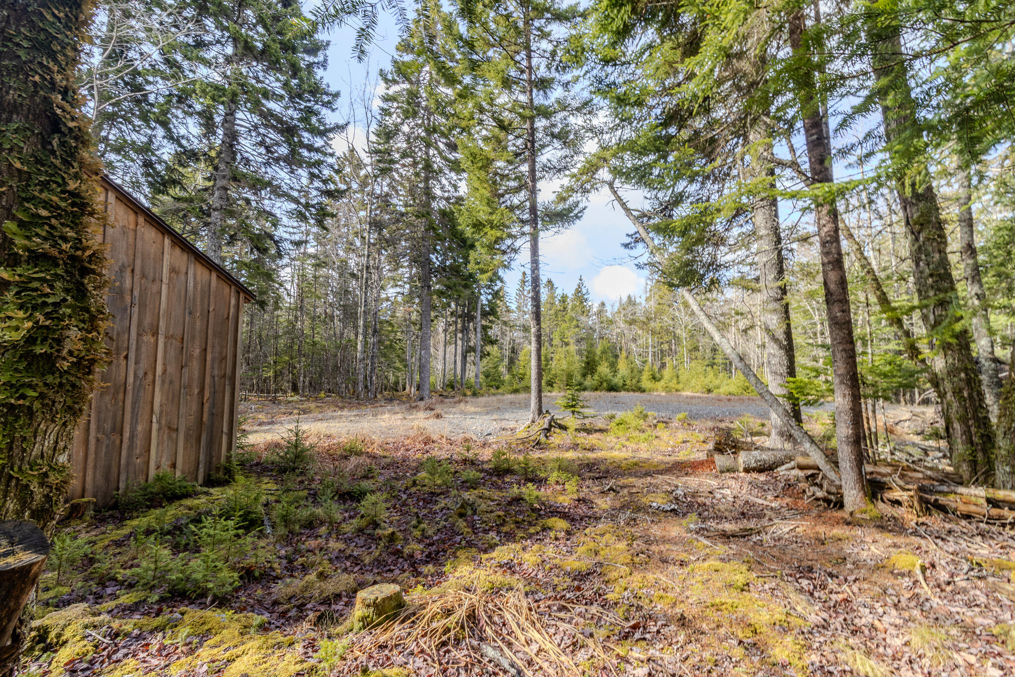 57 Yoho Head Road