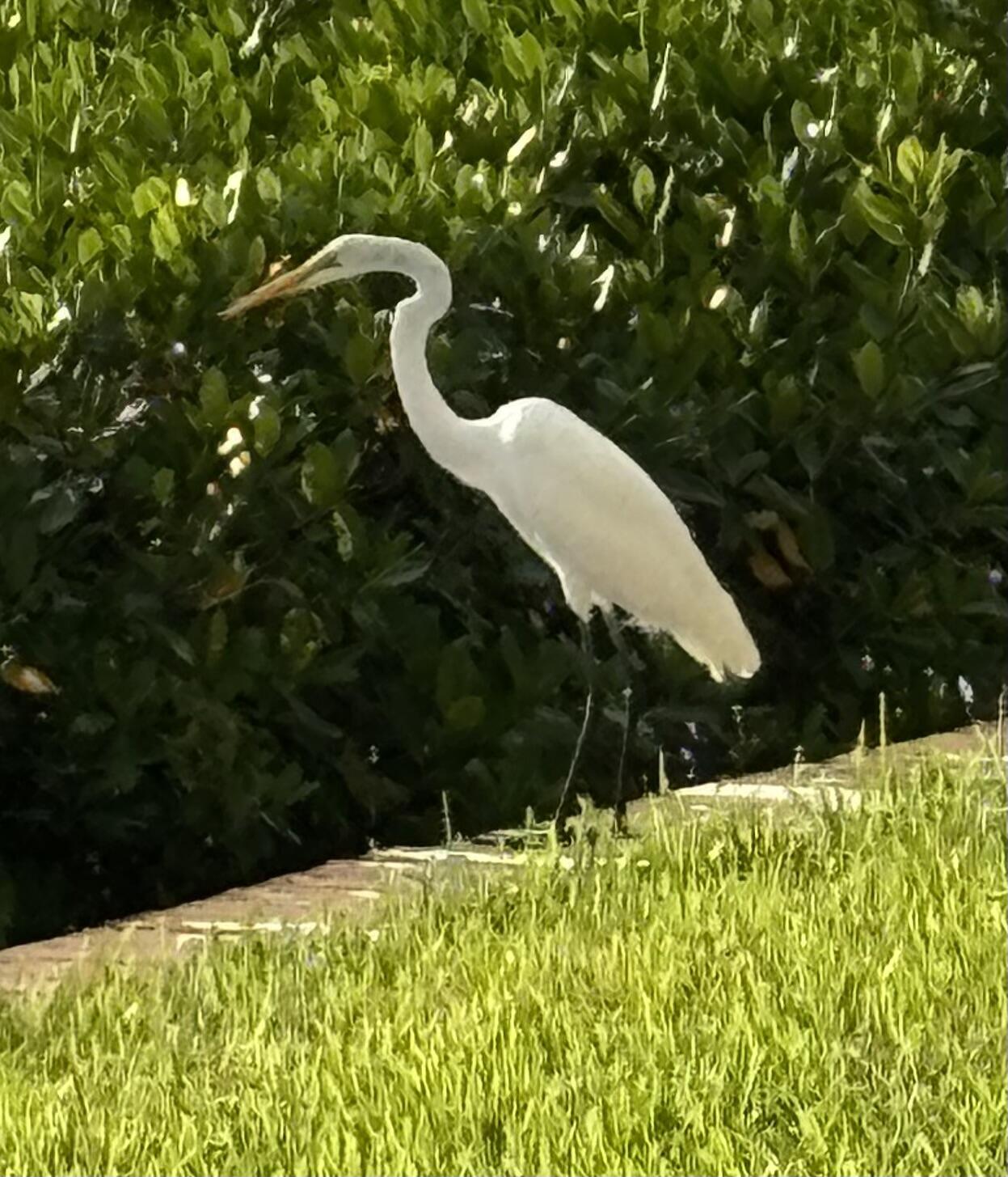 4440 NE Sandpebble Trace 104