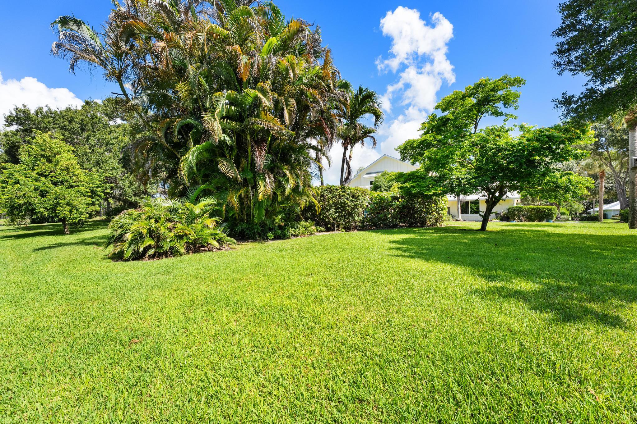 19646 Red Maple Lane