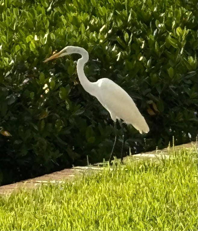 4440 NE Sandpebble Trace 104