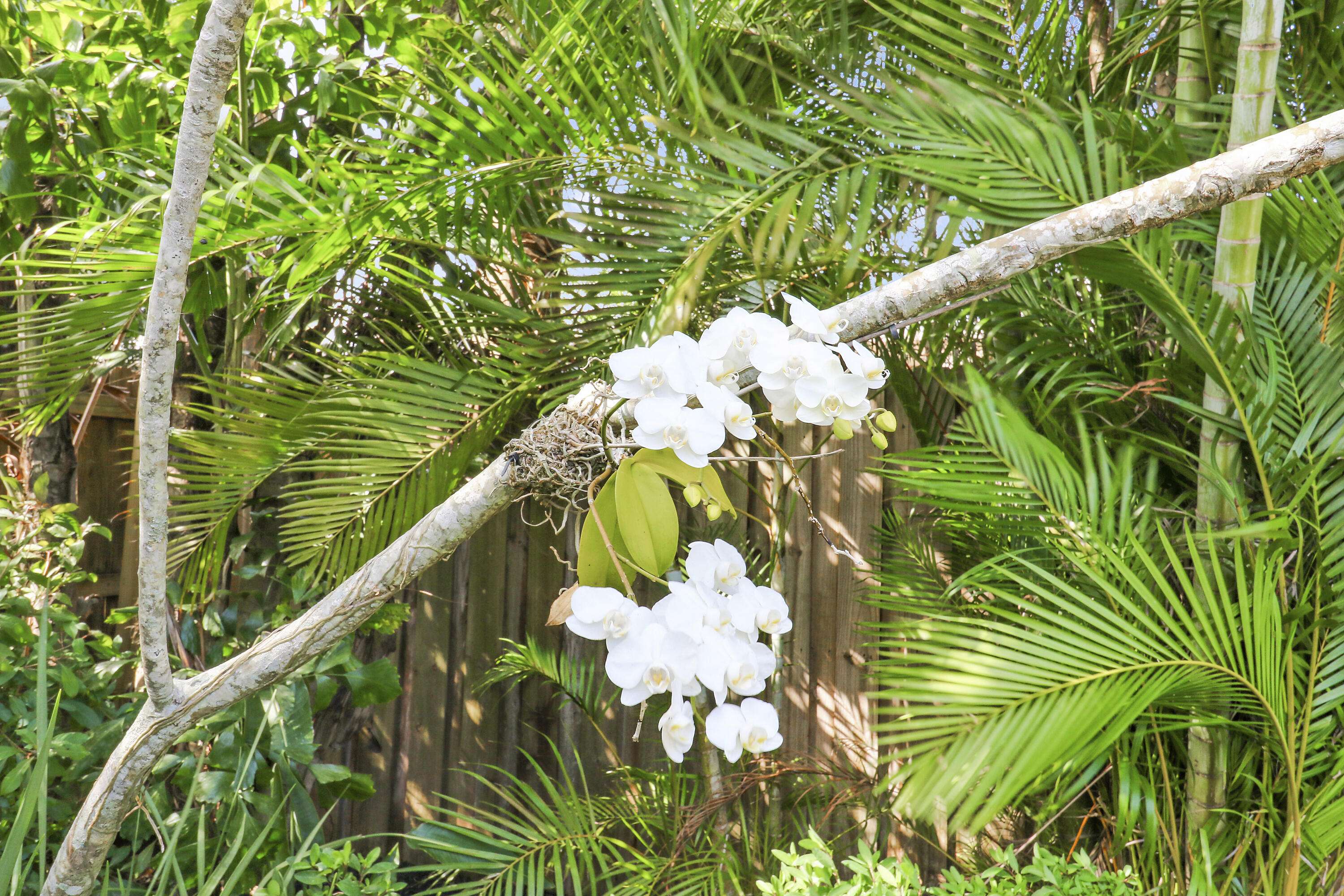 358 Country Club Drive